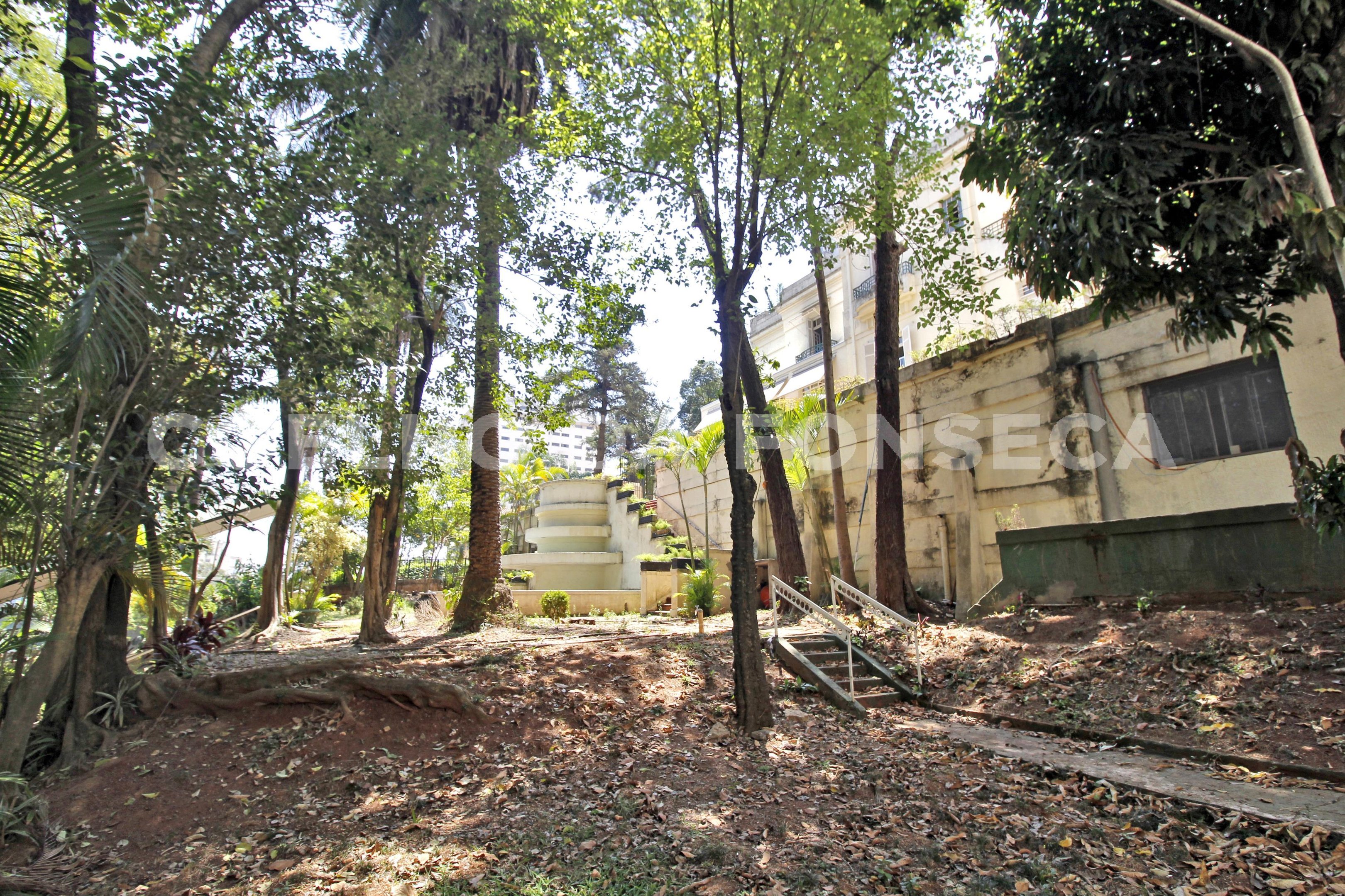Jardim