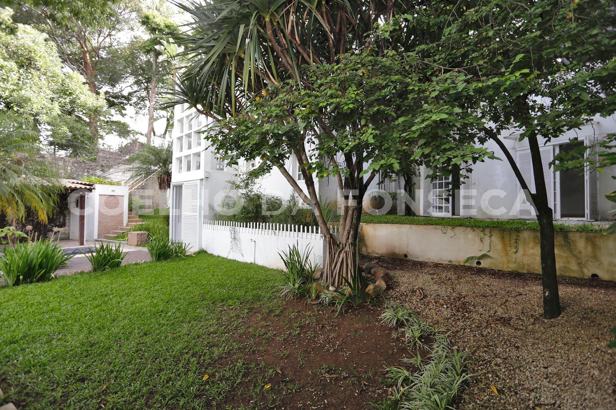 Jardim