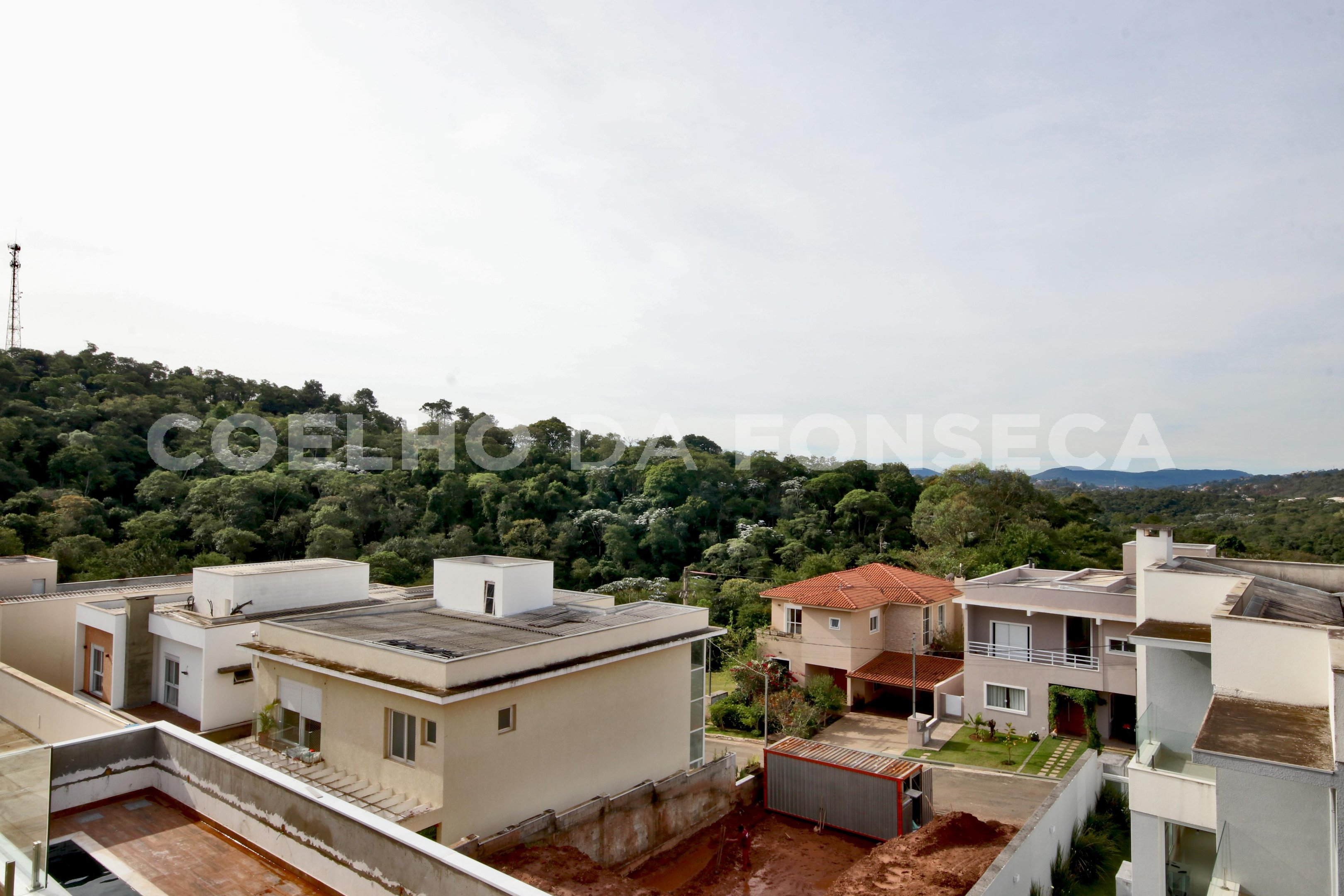Vista