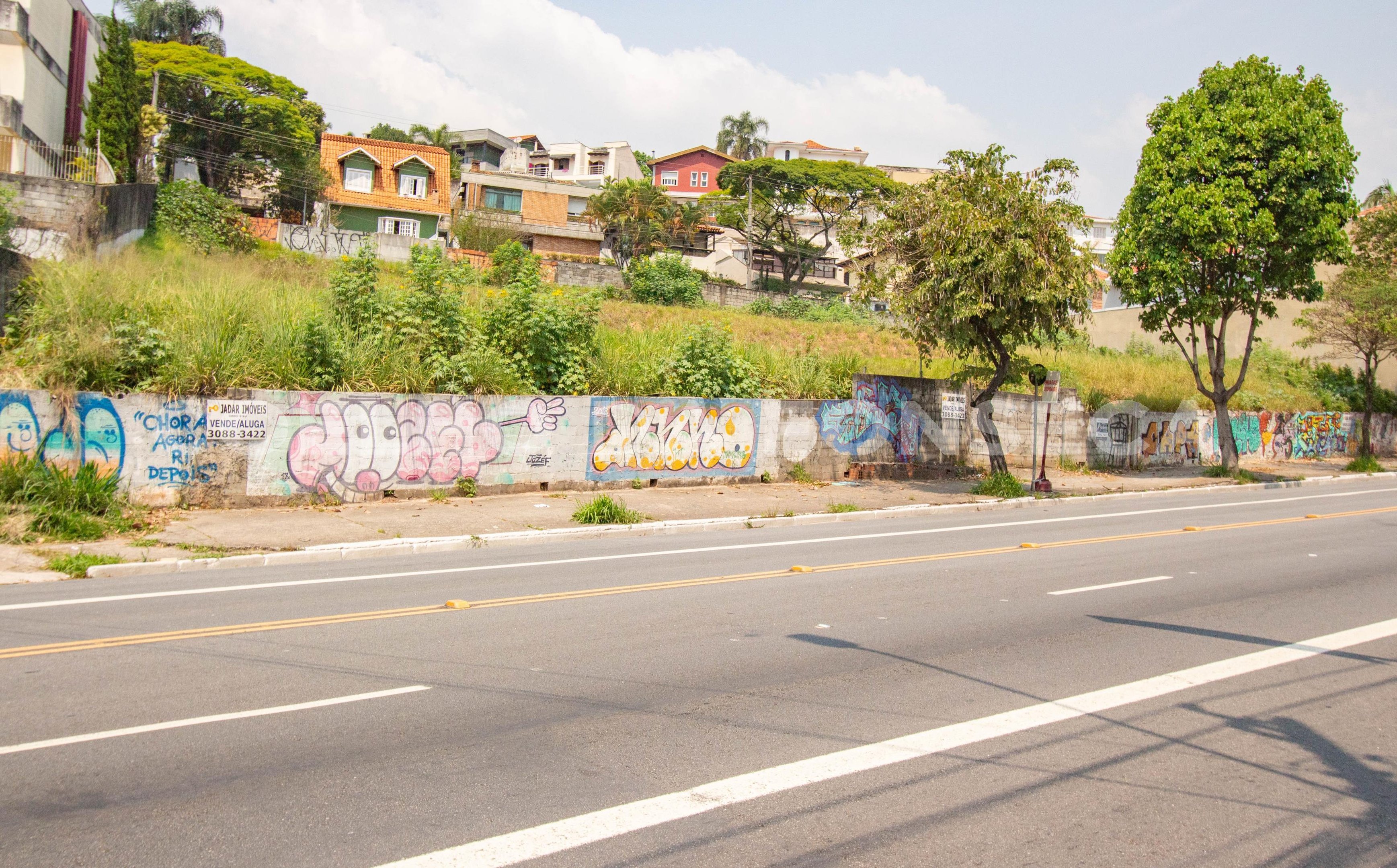 Jardim