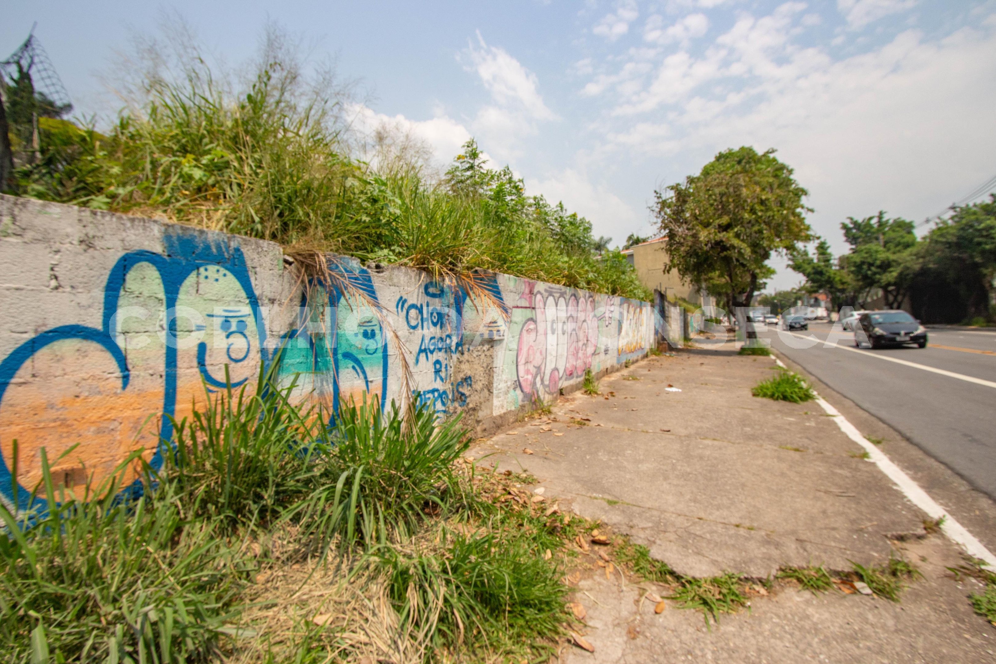 Jardim