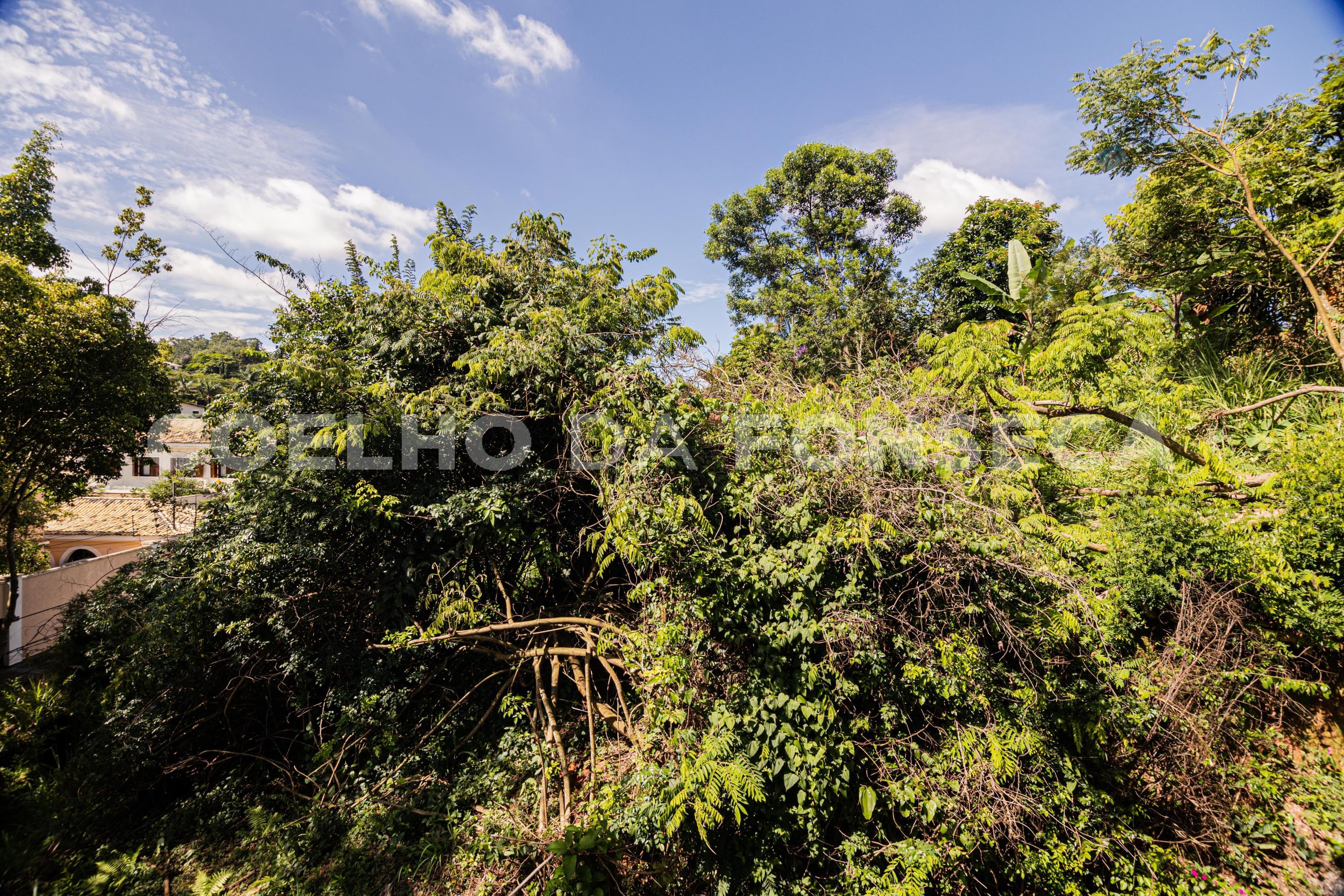 Vista Topográfica da Propriedade