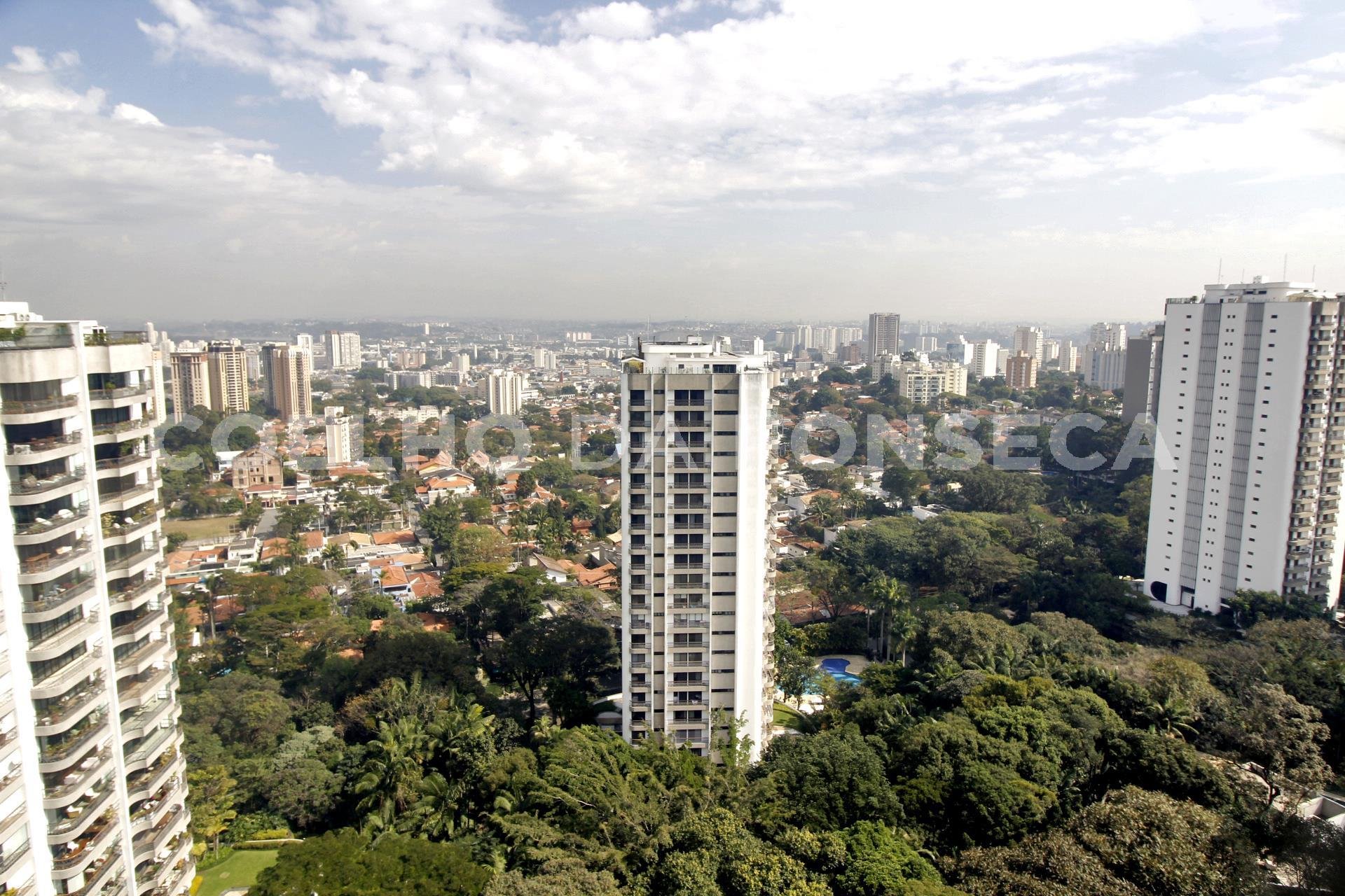 Vista