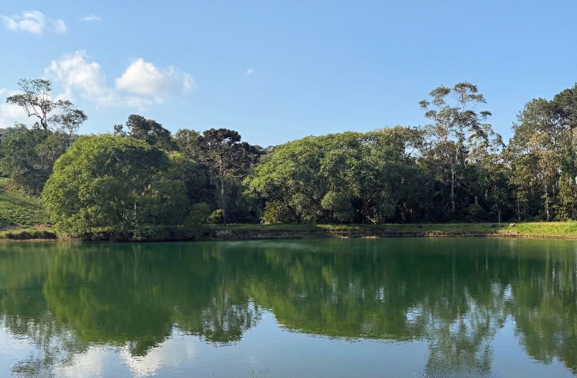 Perspectiva artística