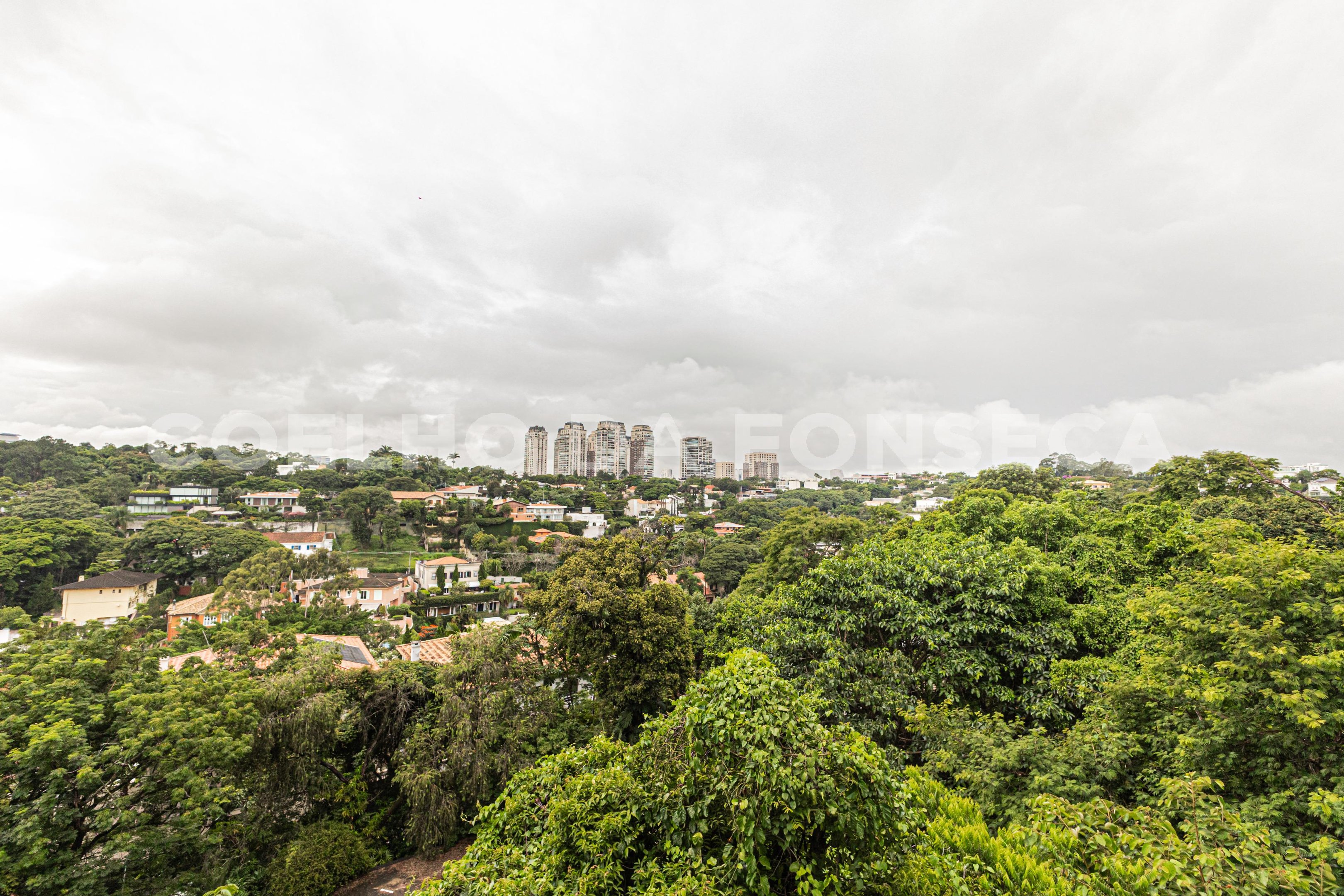 Vista