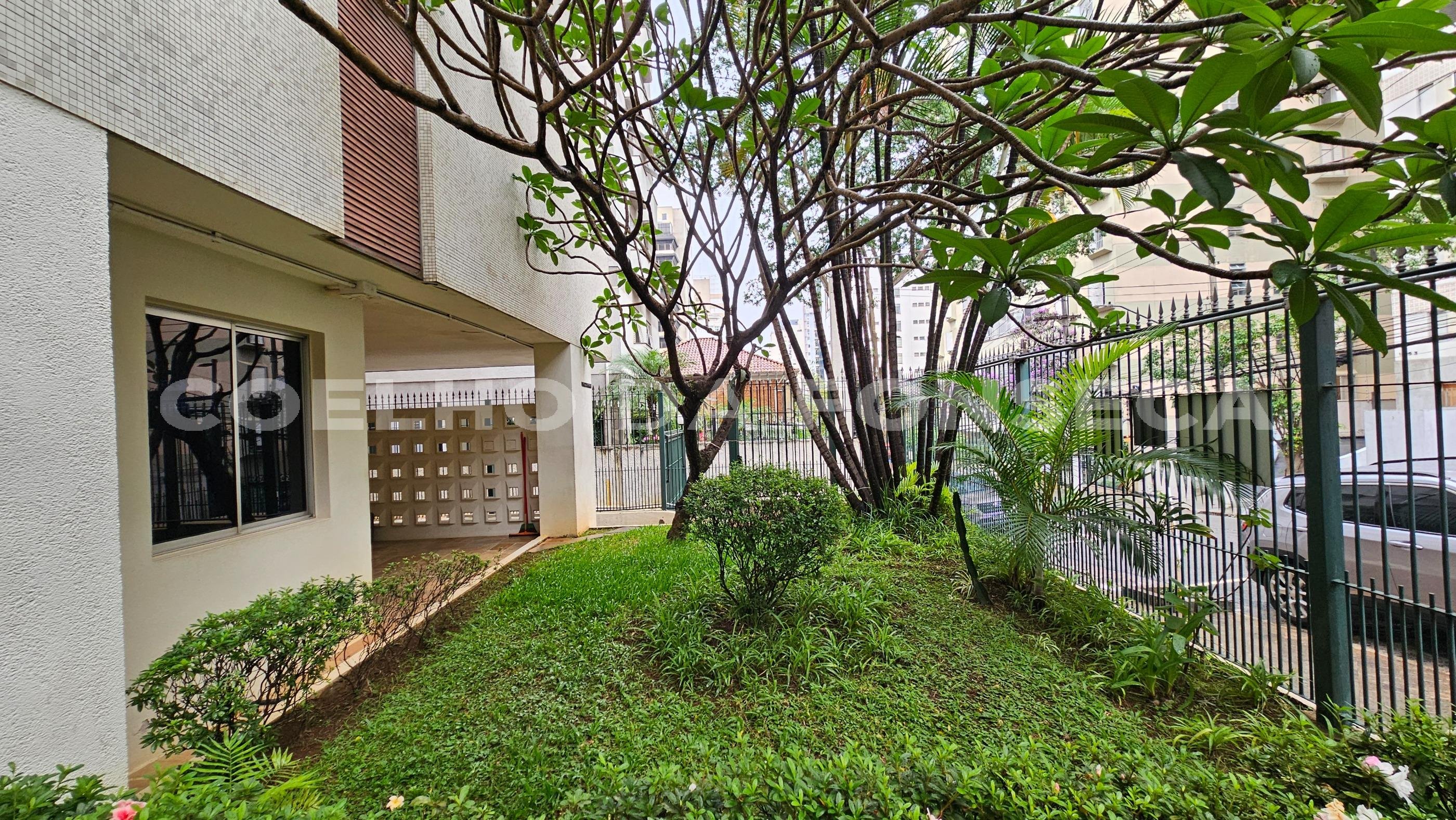 Jardim