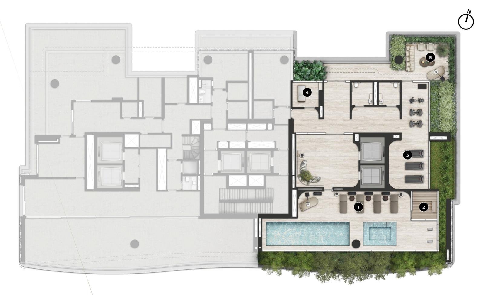 Planta