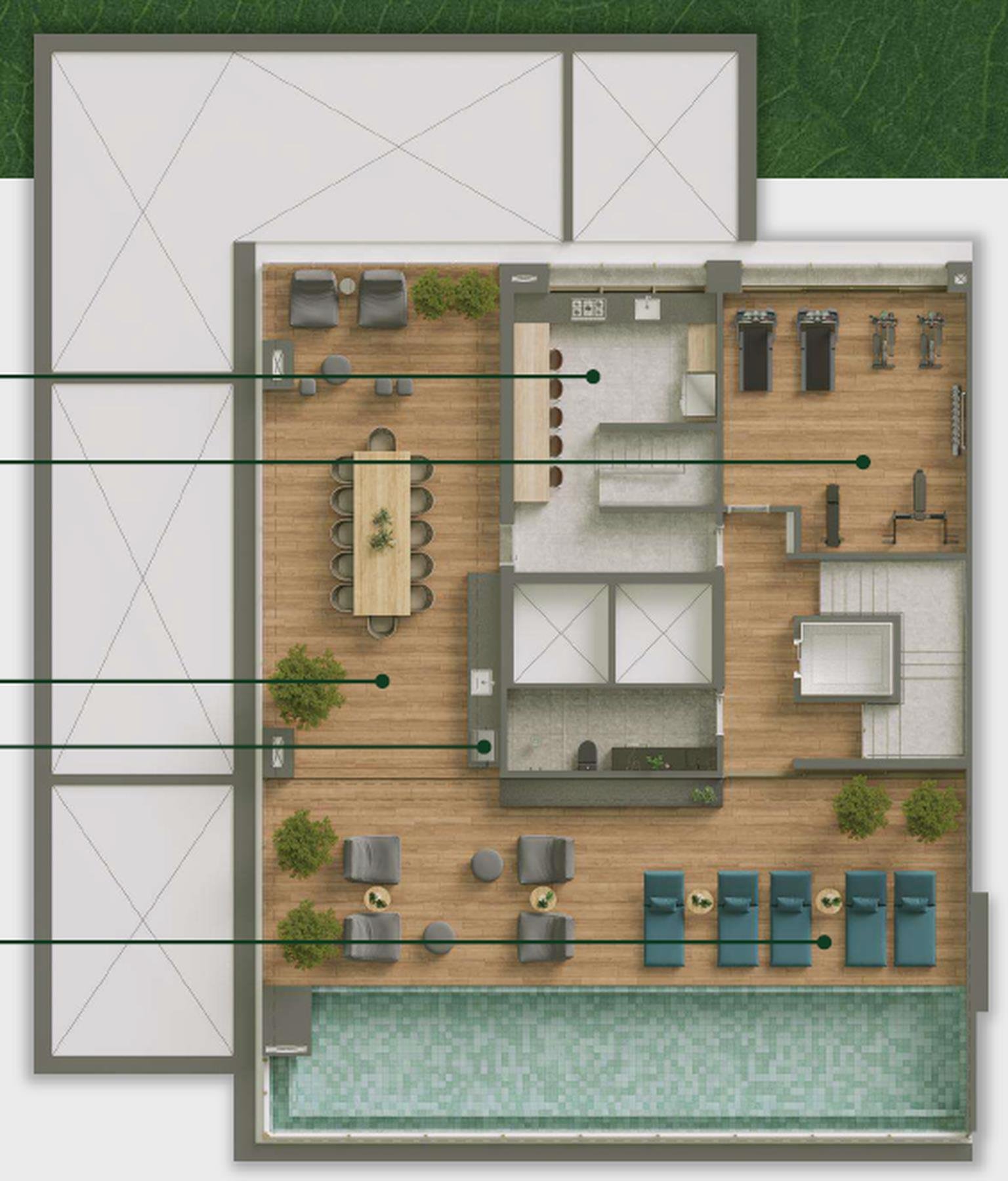 Planta