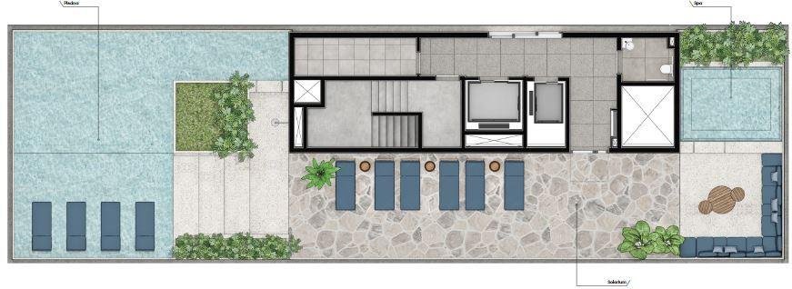 Planta
