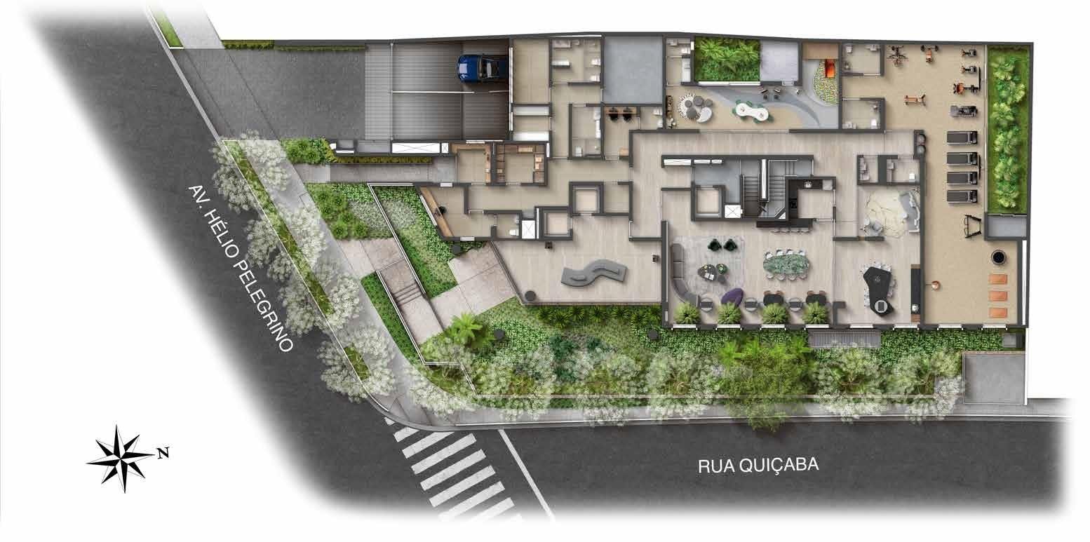 Planta