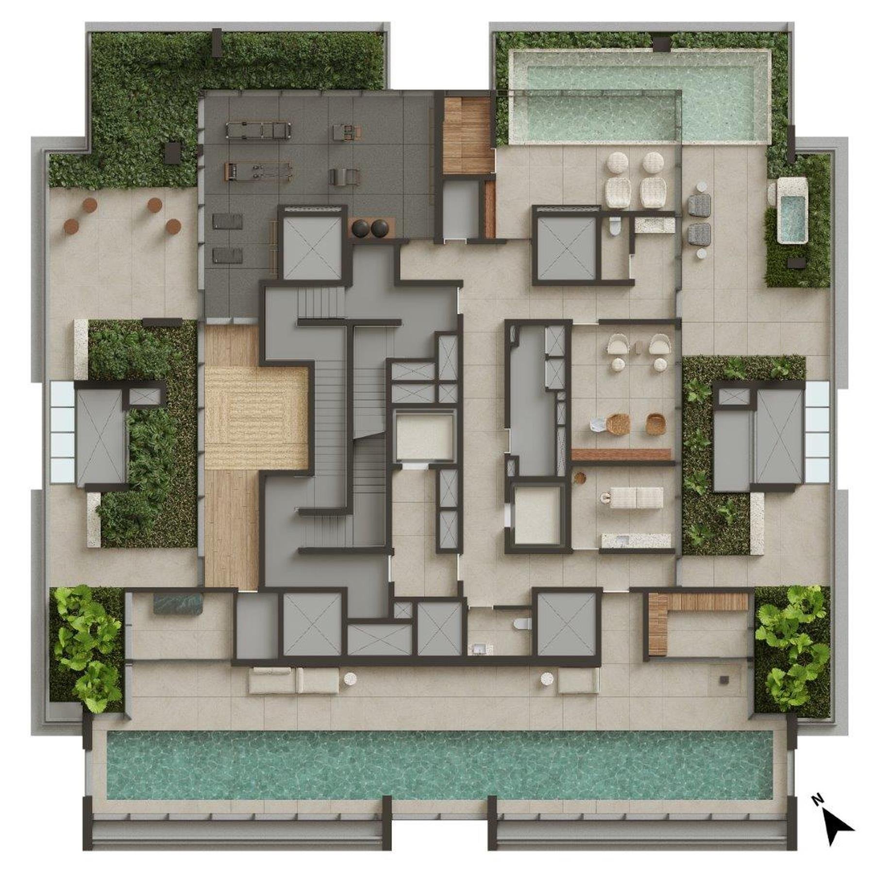 Planta
