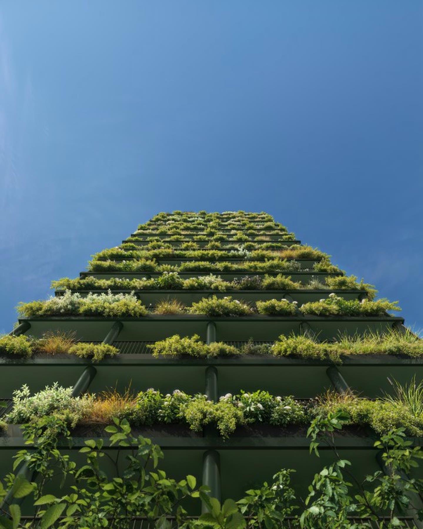 Perspectiva artística