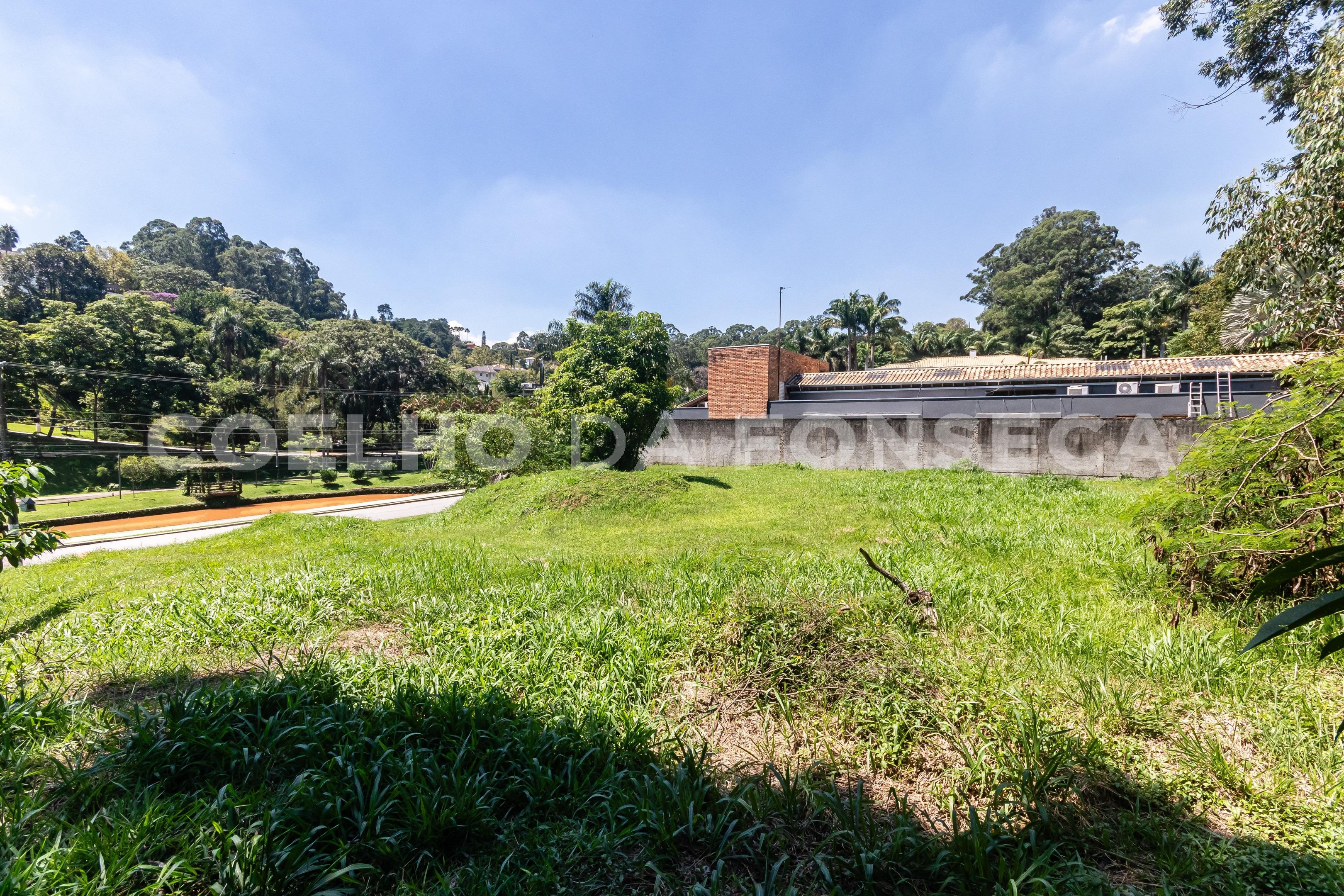 Terreno