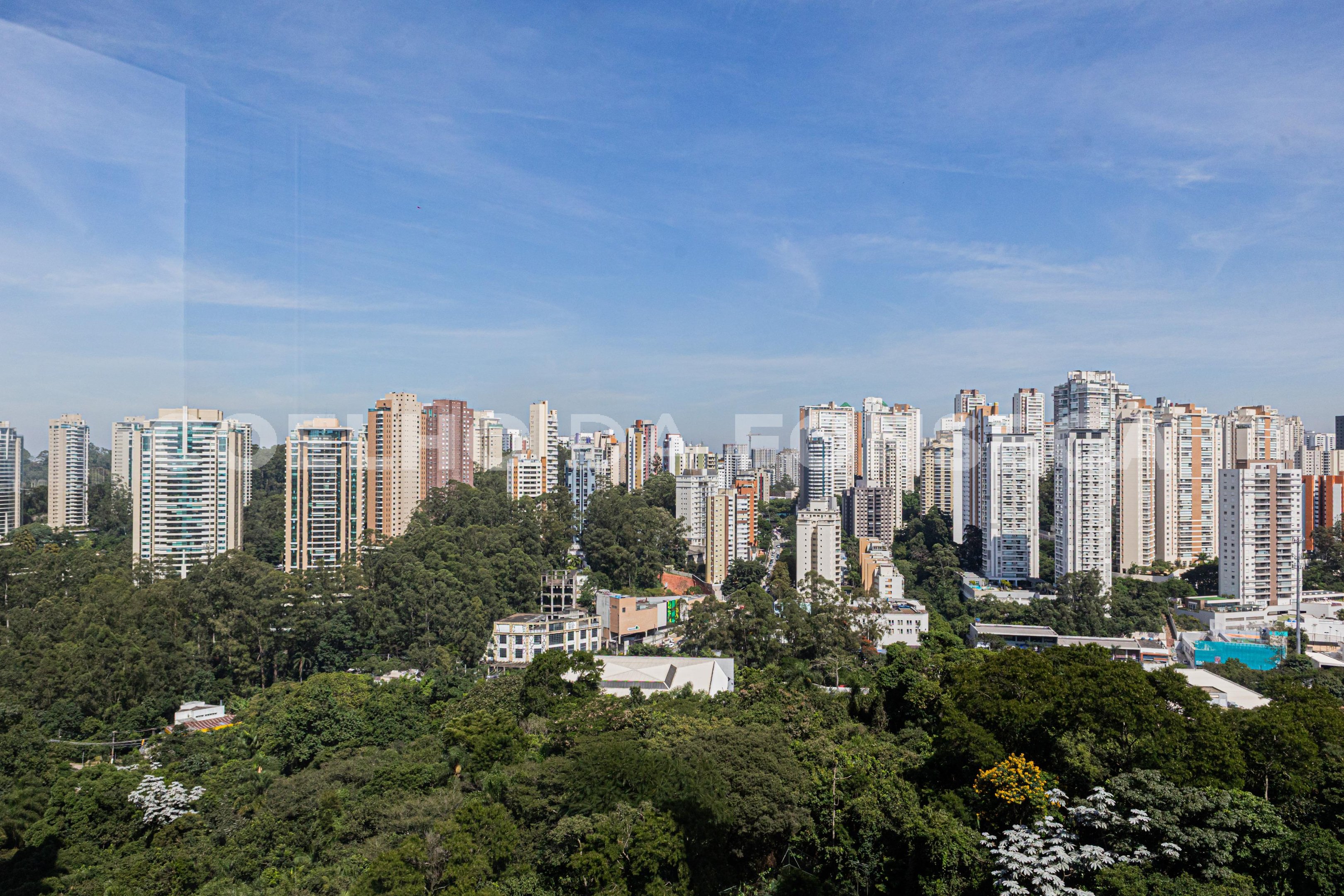 Vista