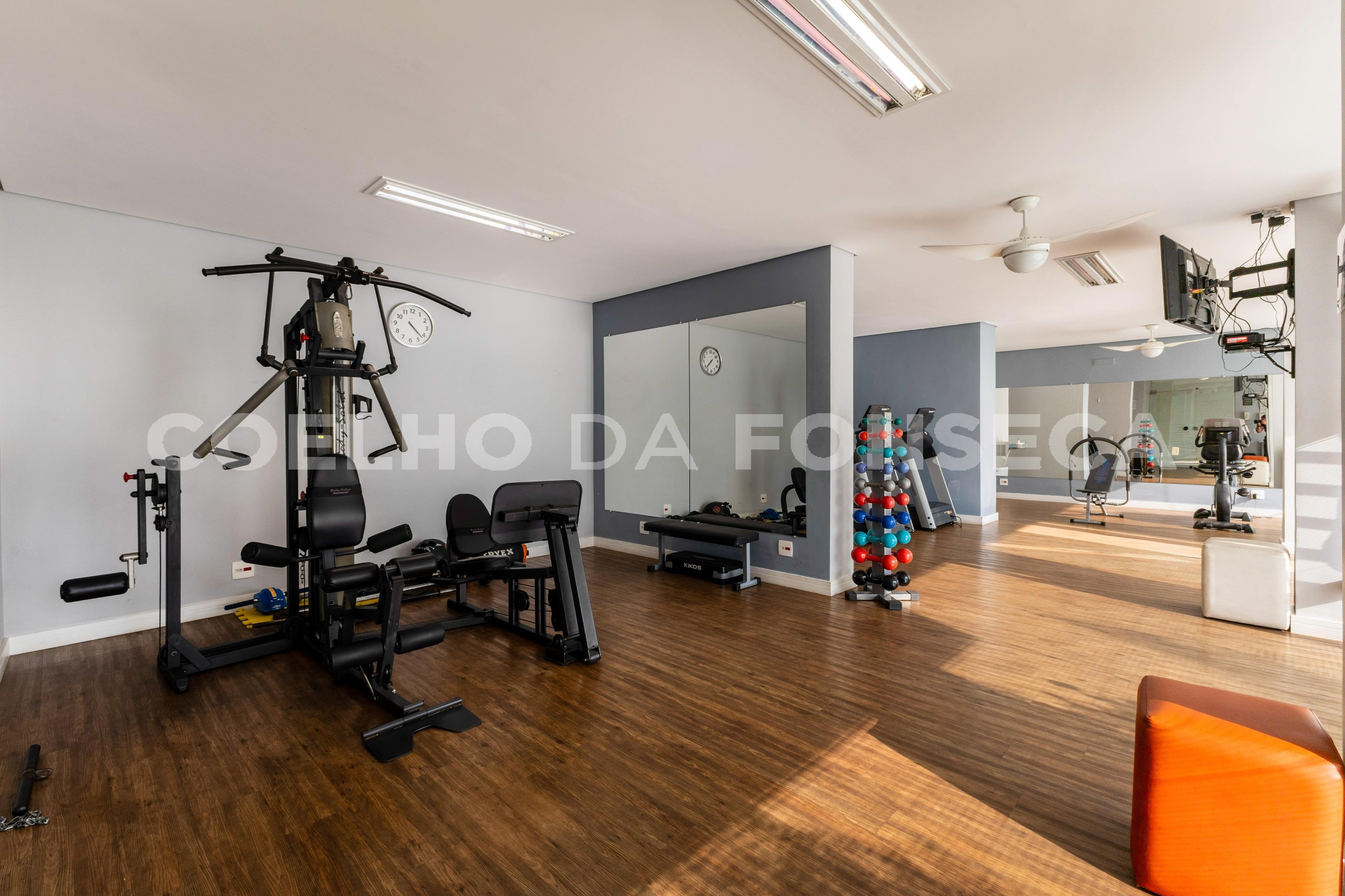 Fitness