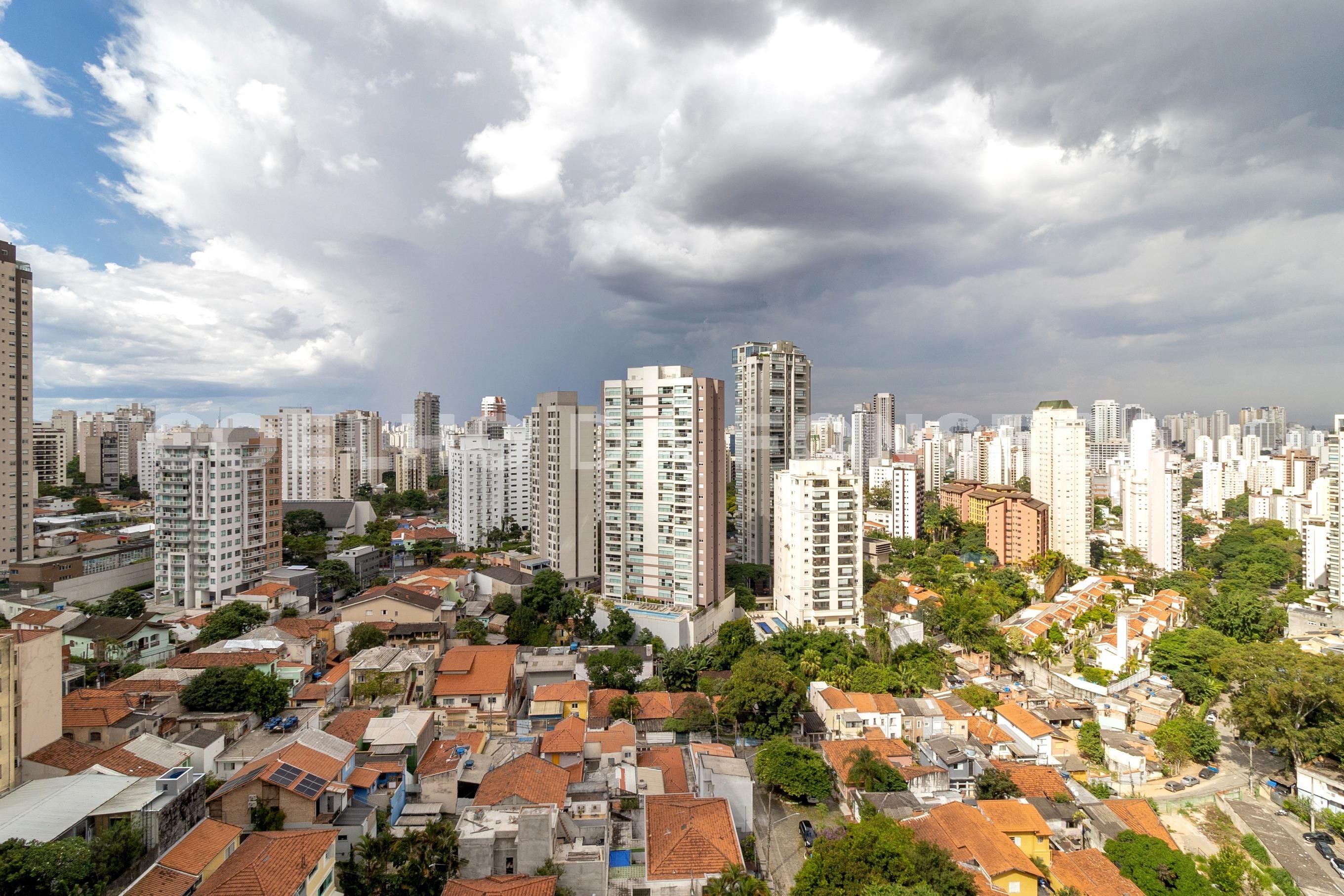 Vista