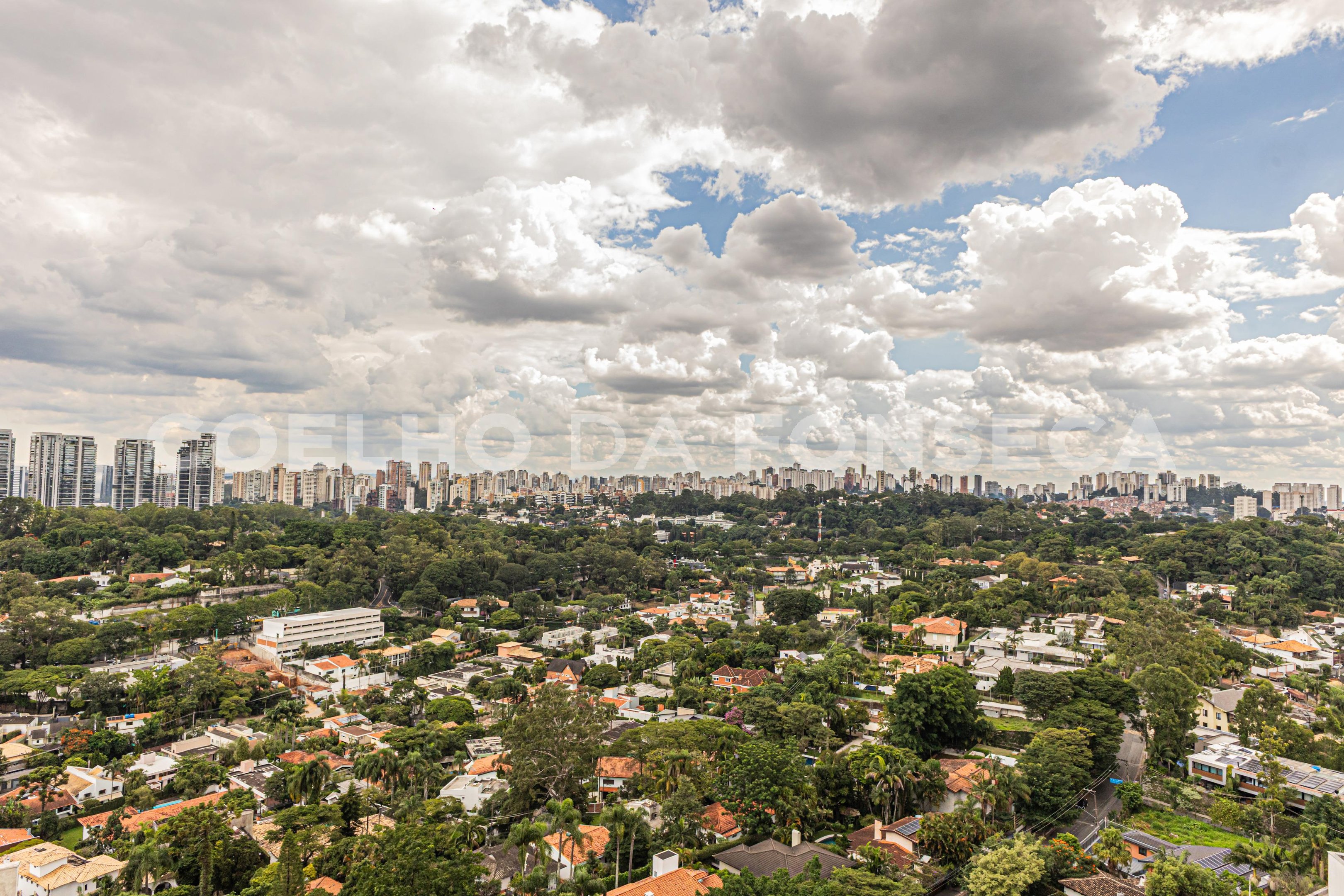 Vista