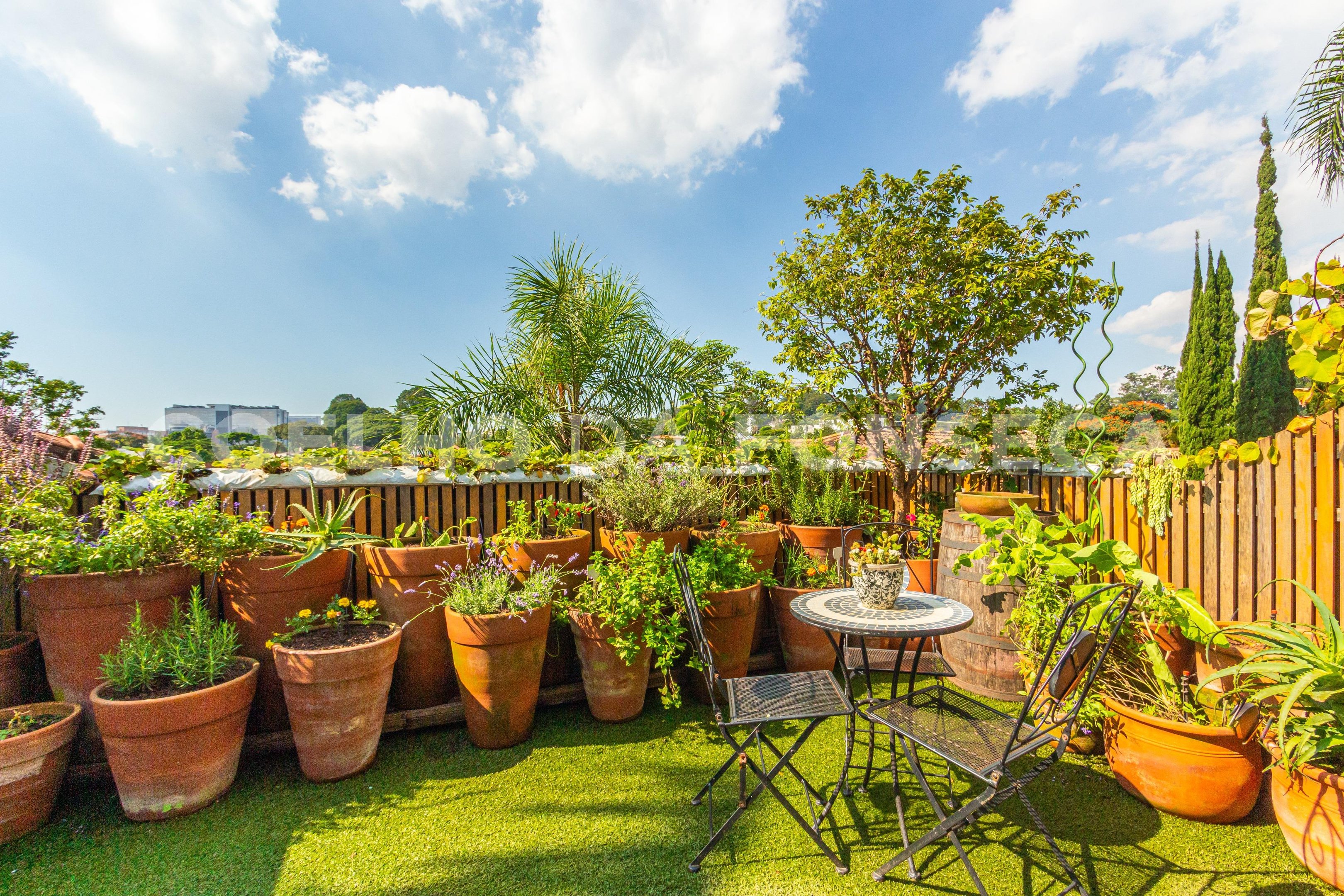 Terraço