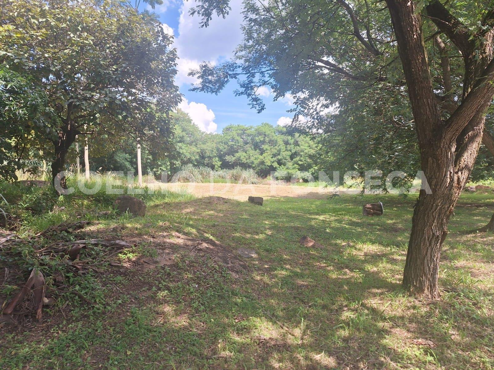 Vista Topográfica da Propriedade