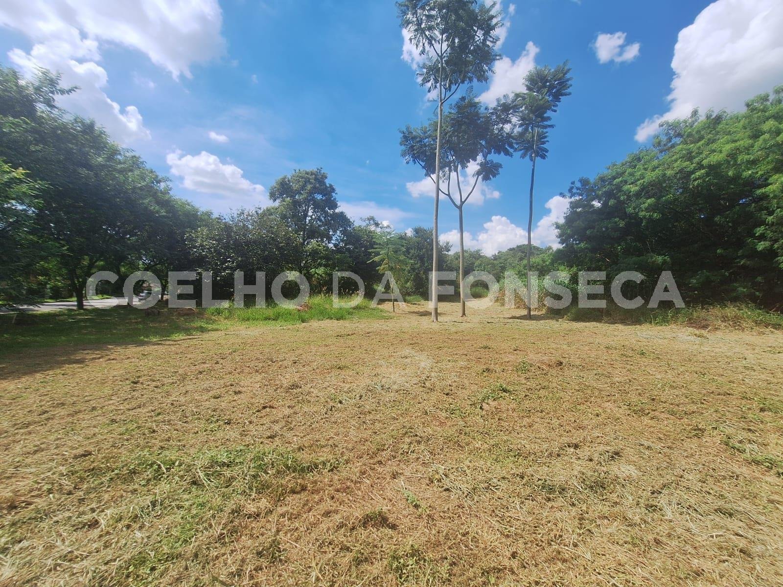 Vista Topográfica da Propriedade