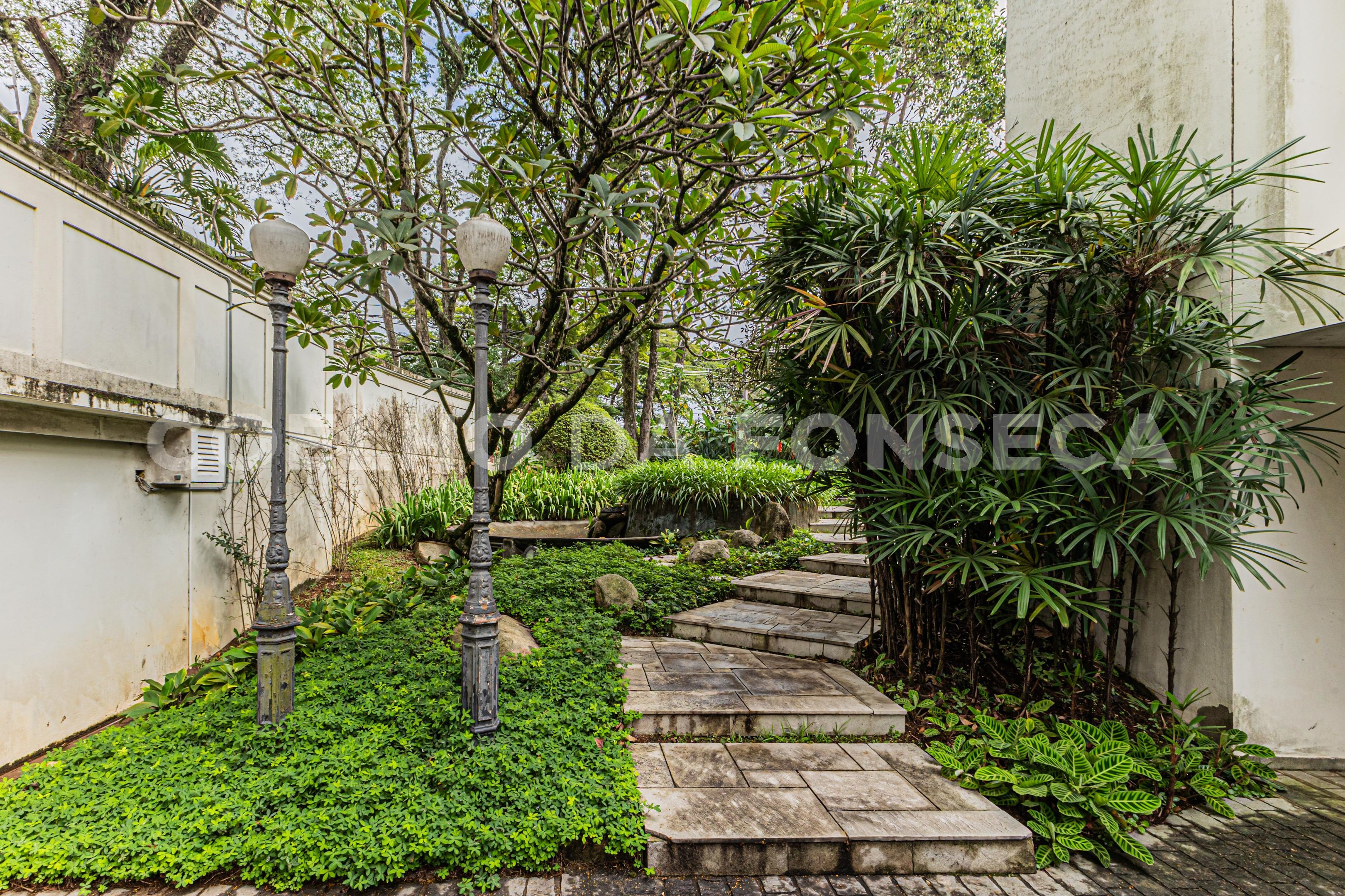 Jardim