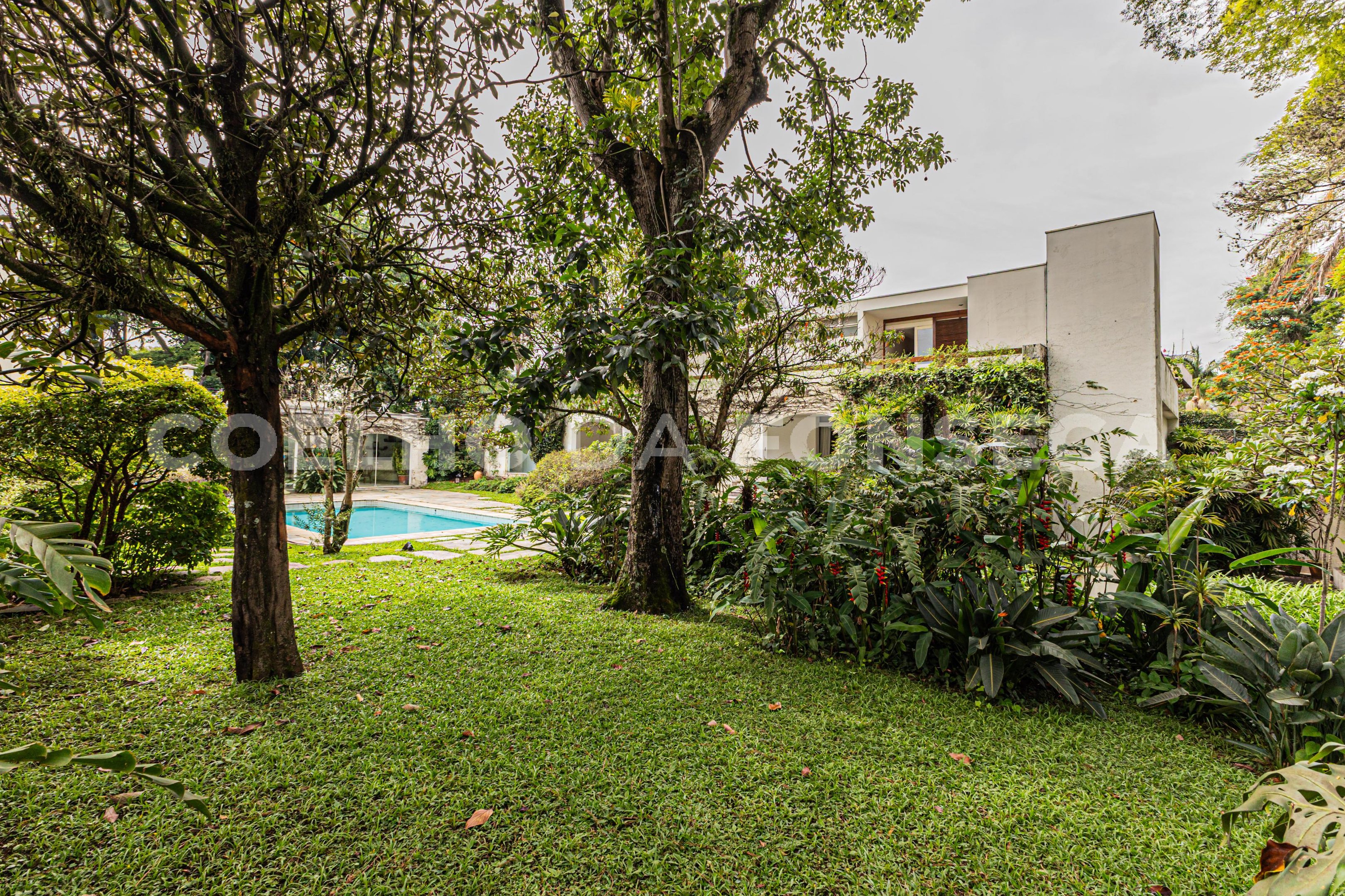 Jardim