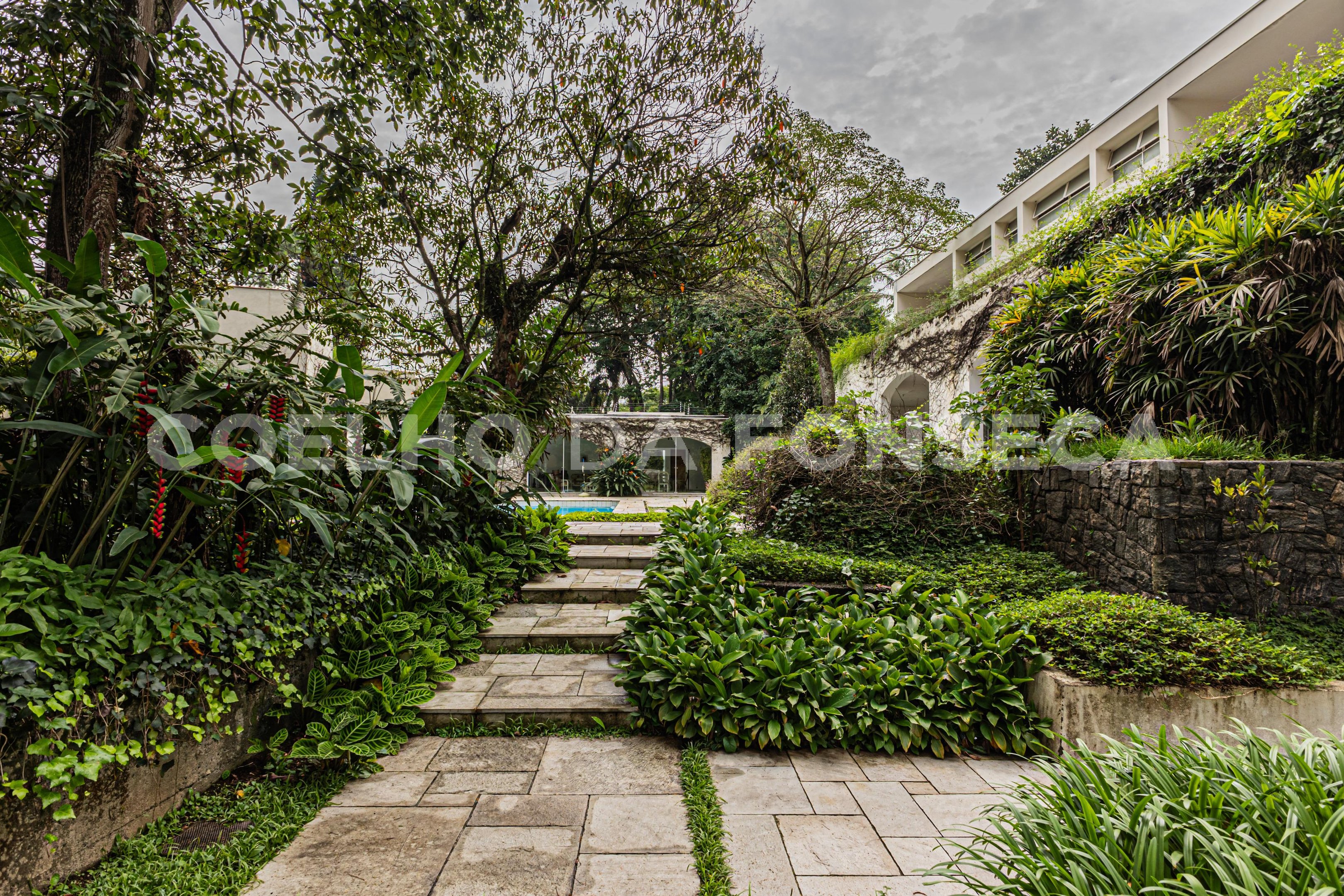 Jardim