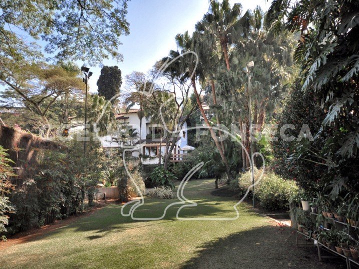 Jardim