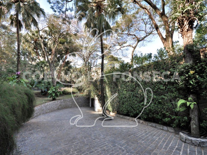 Jardim