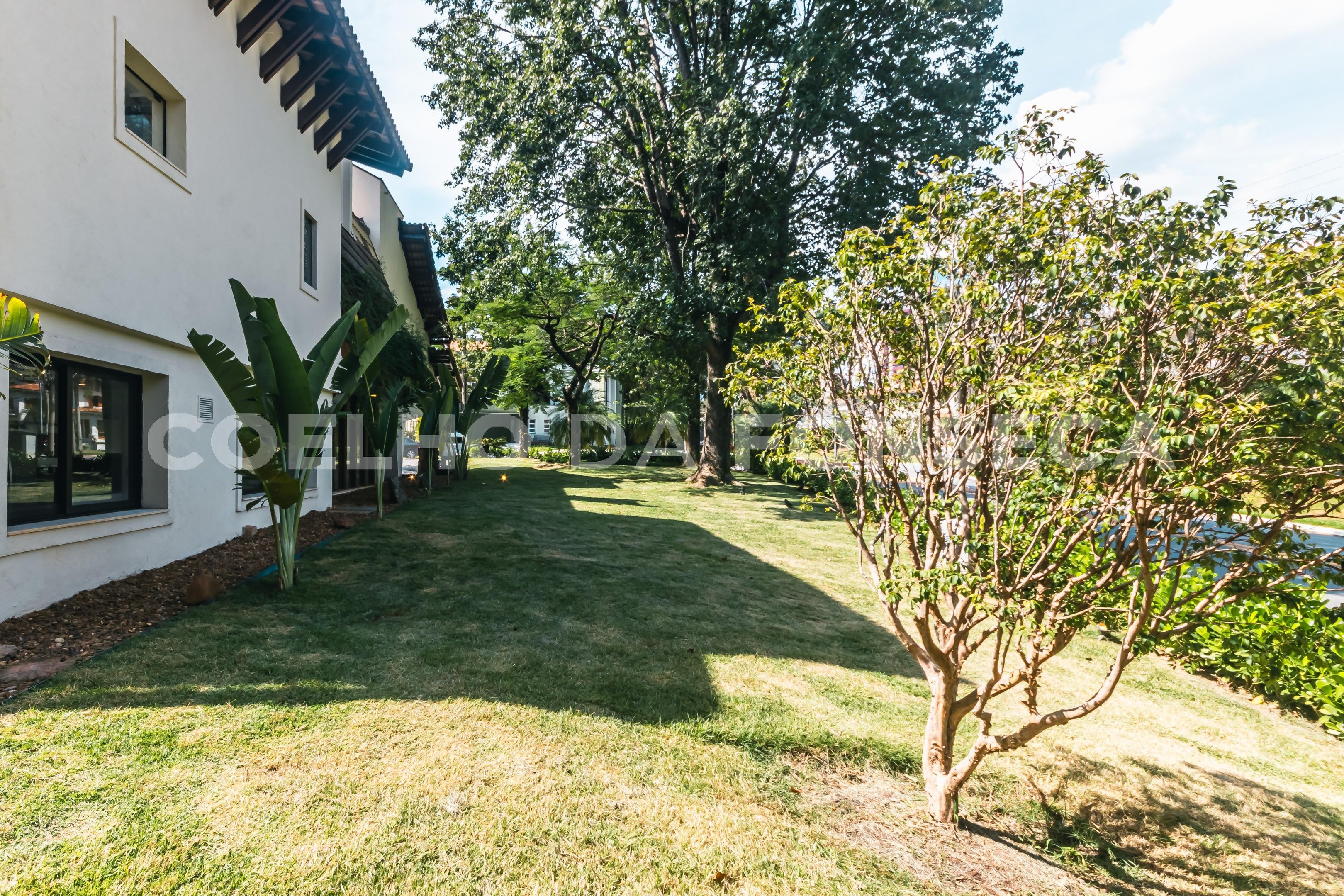 Jardim