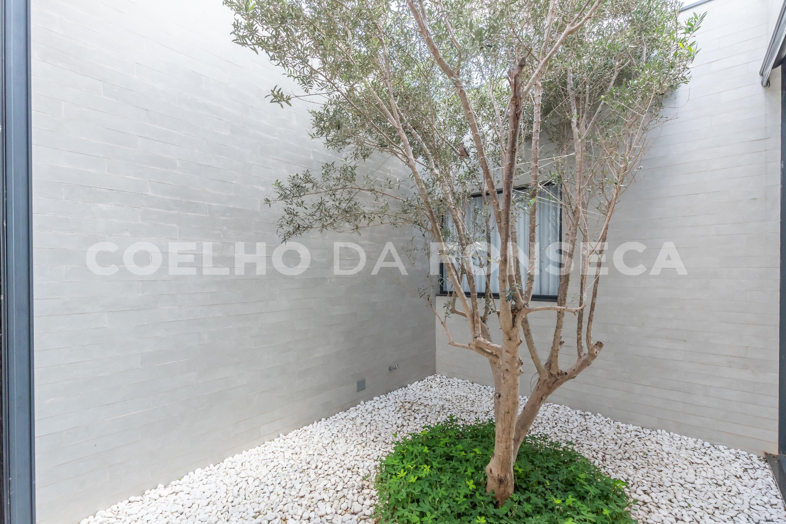 Jardim Interno