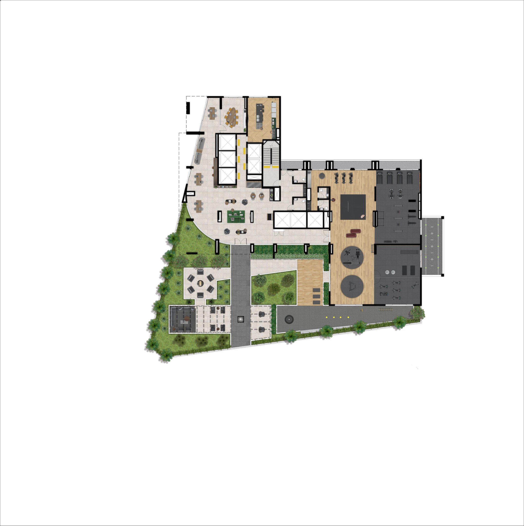 Planta