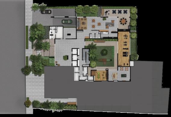 Planta