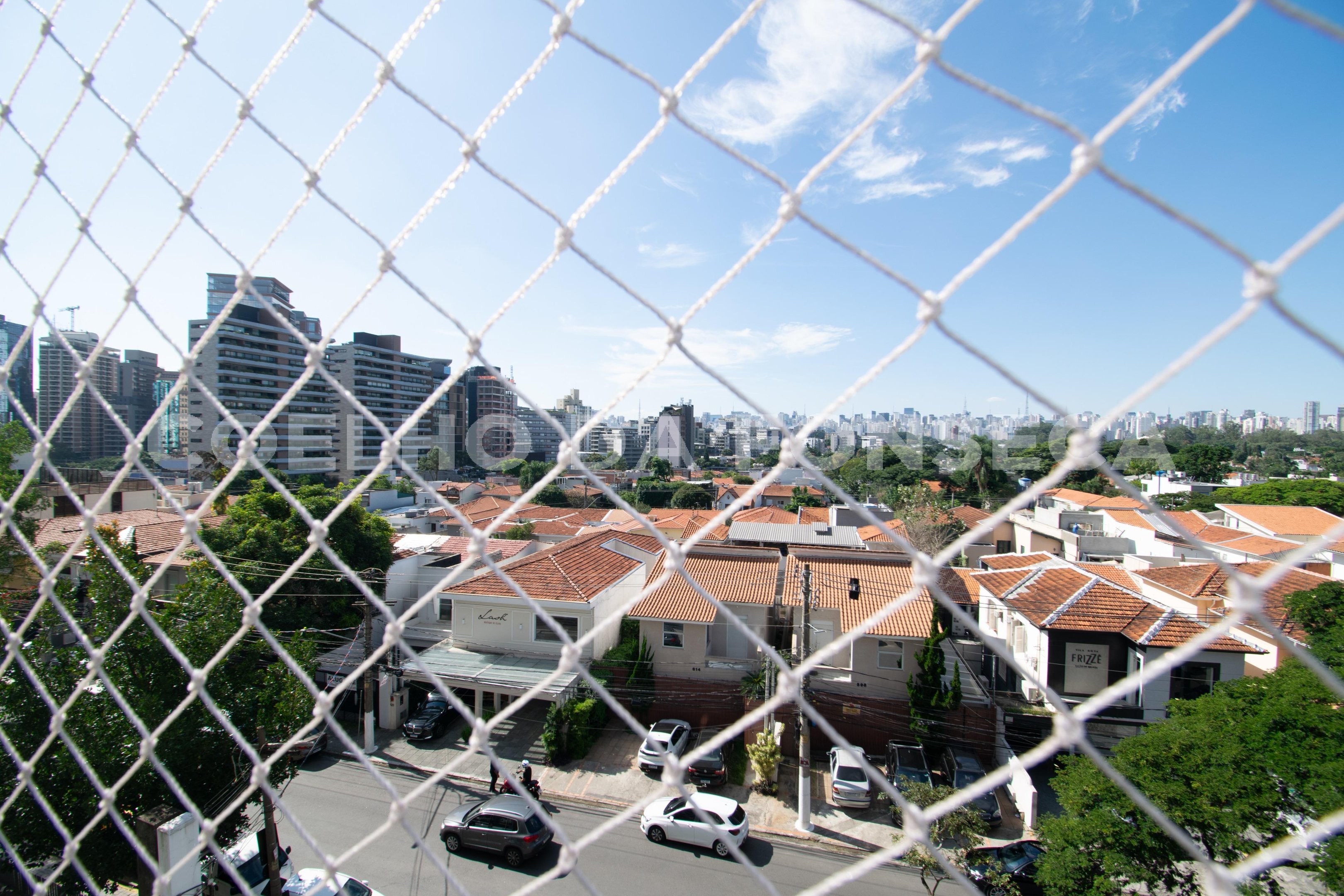Vista