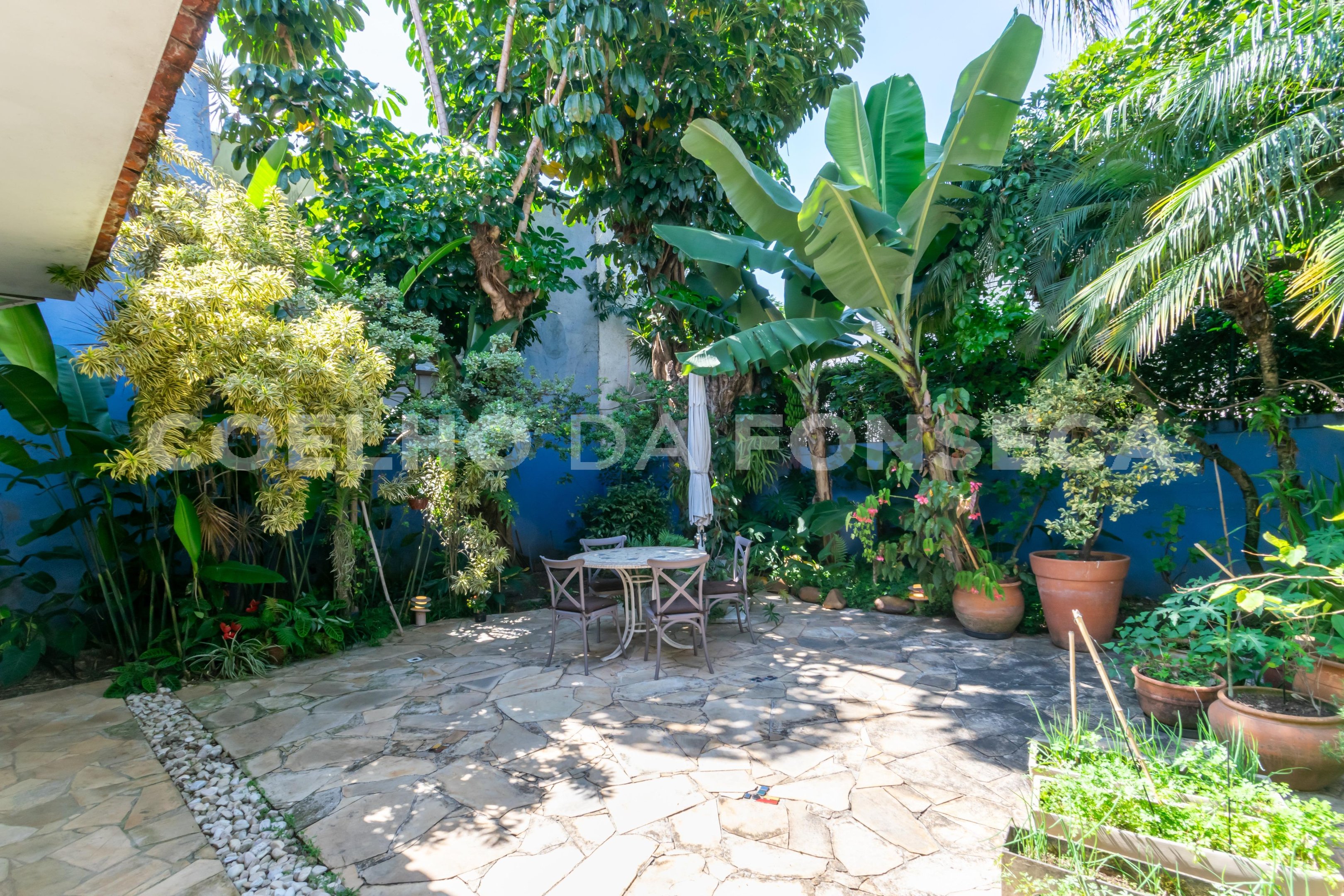 Jardim
