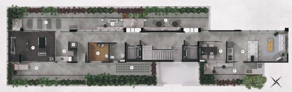 Planta