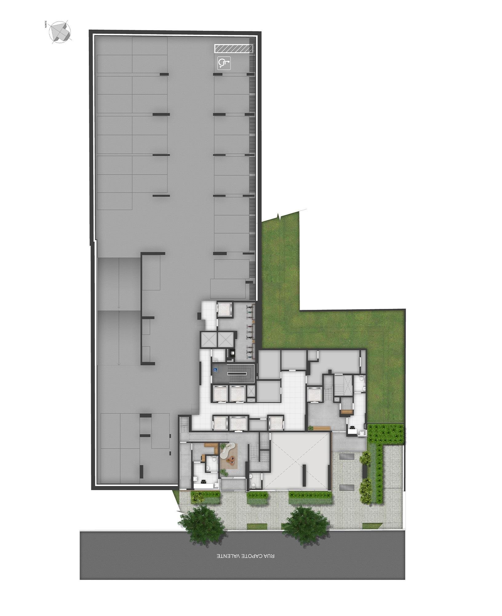 Planta