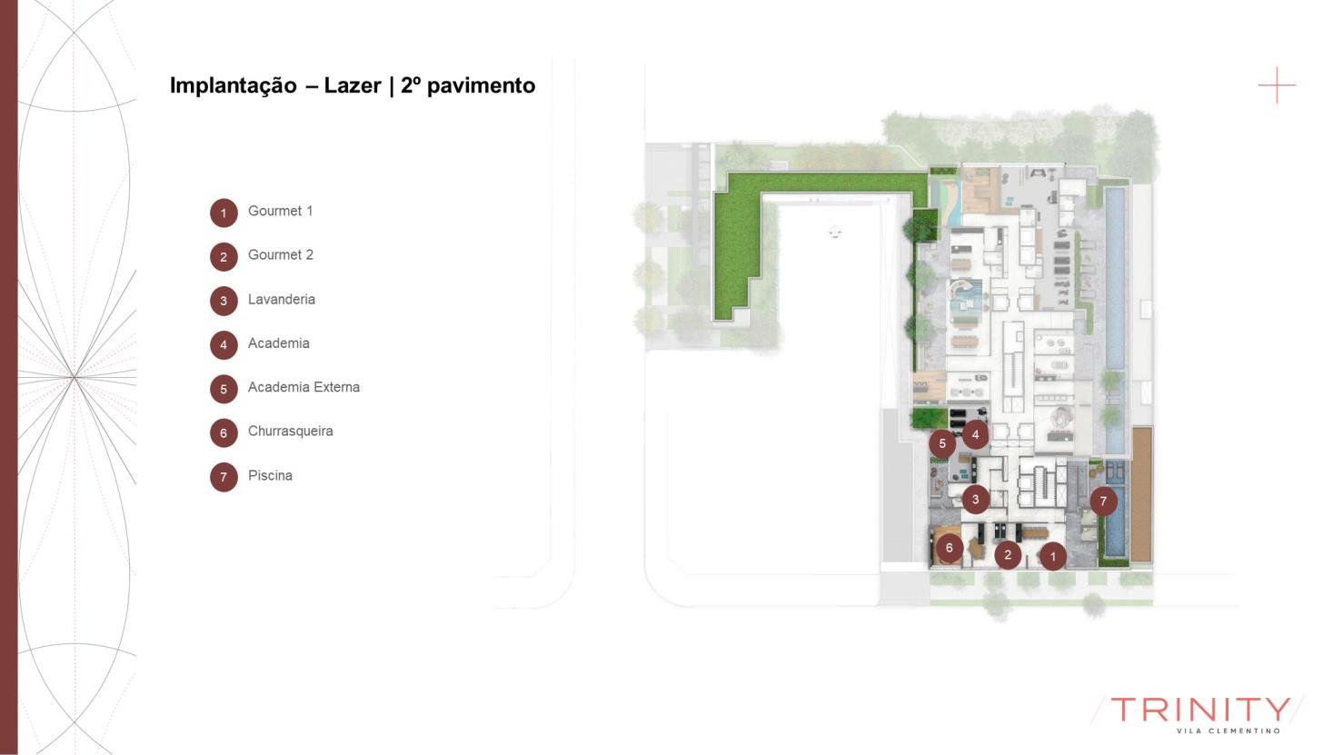 Planta