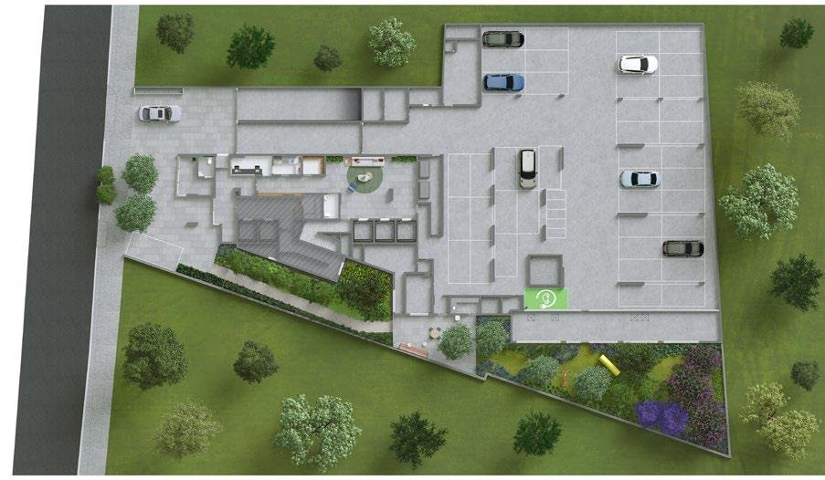 Planta