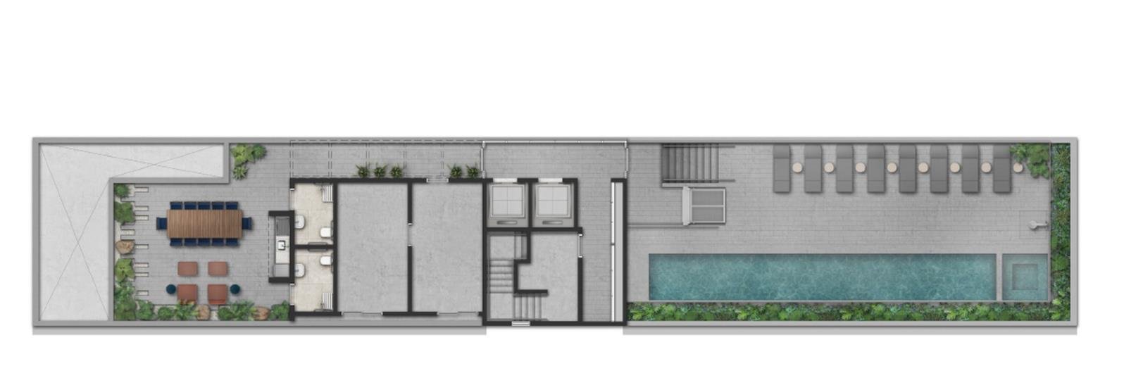 Planta