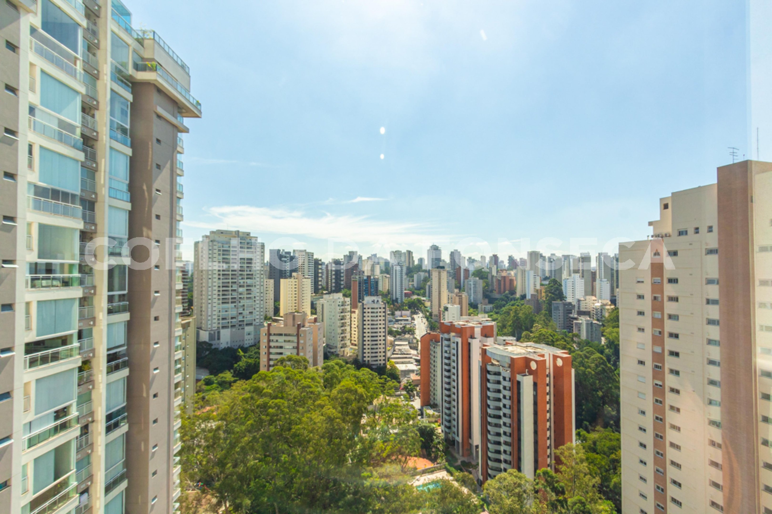 Vista
