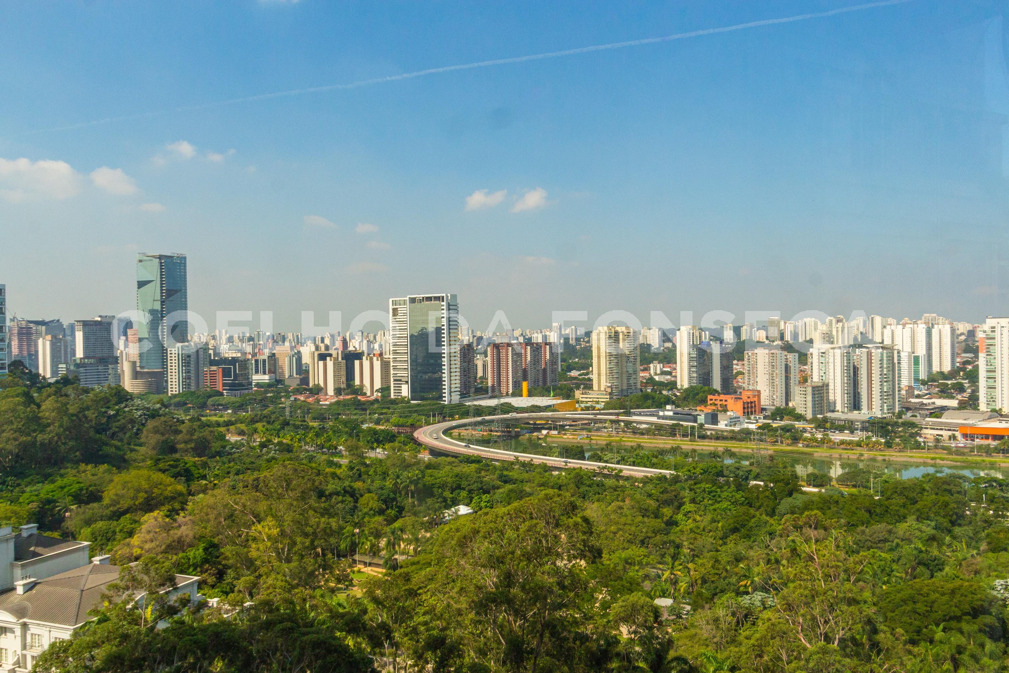 Vista