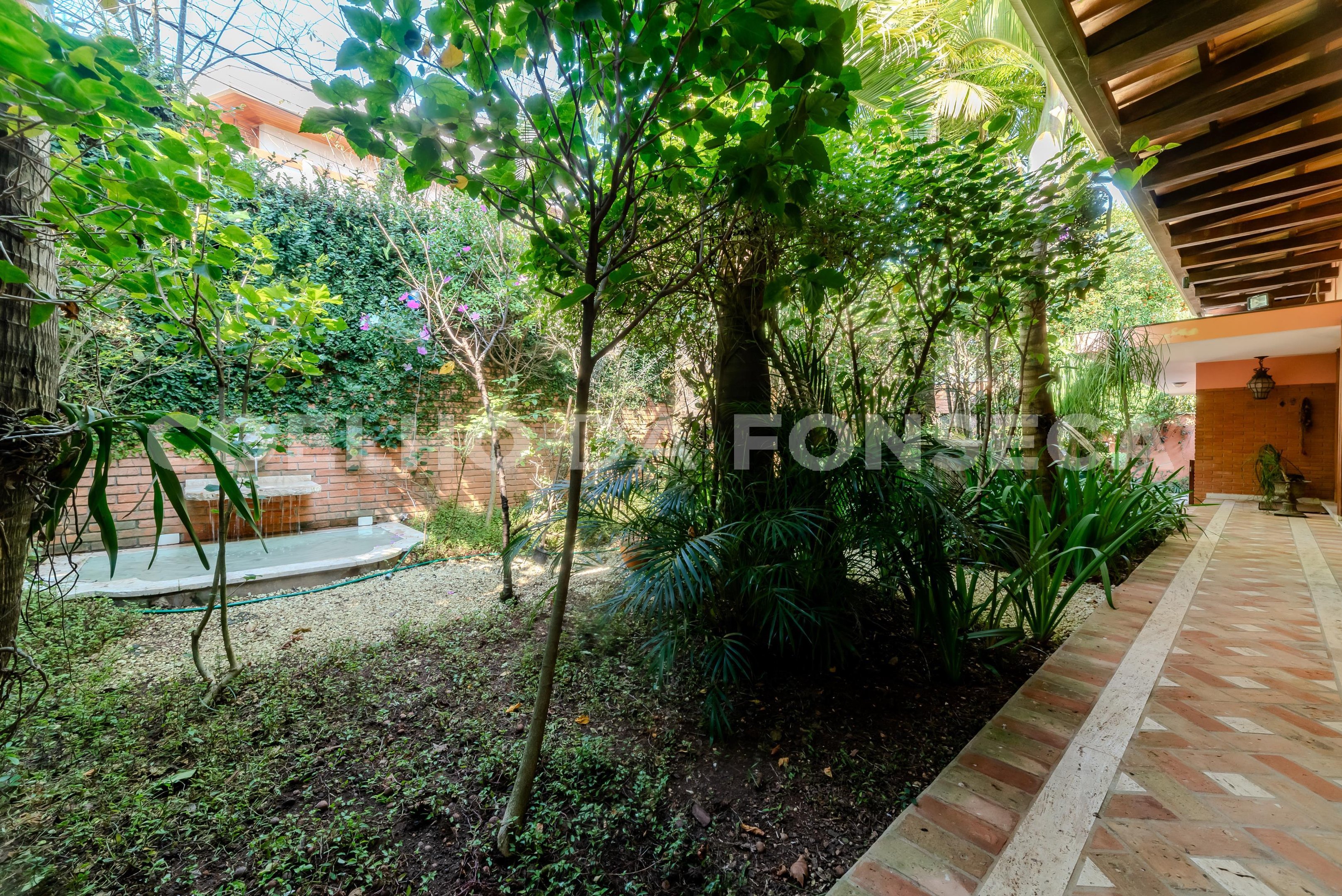Jardim