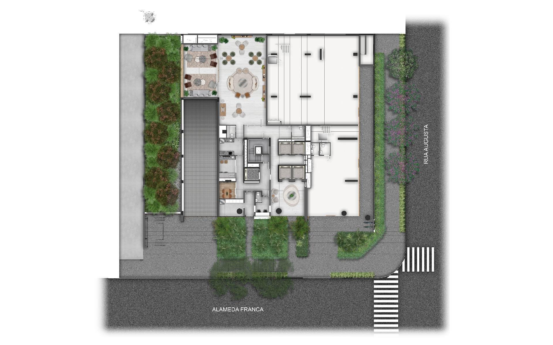 Planta