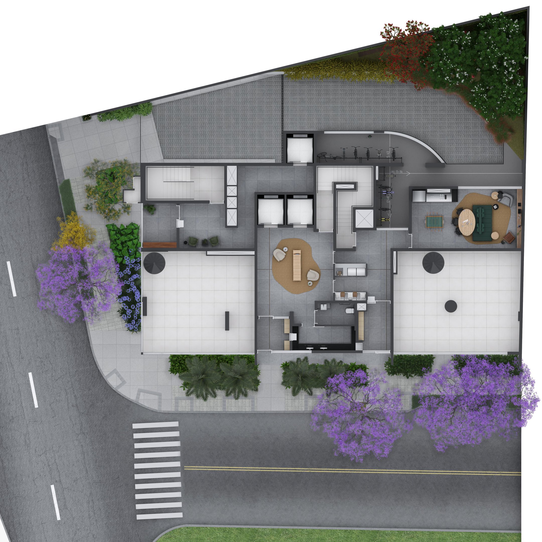 Planta