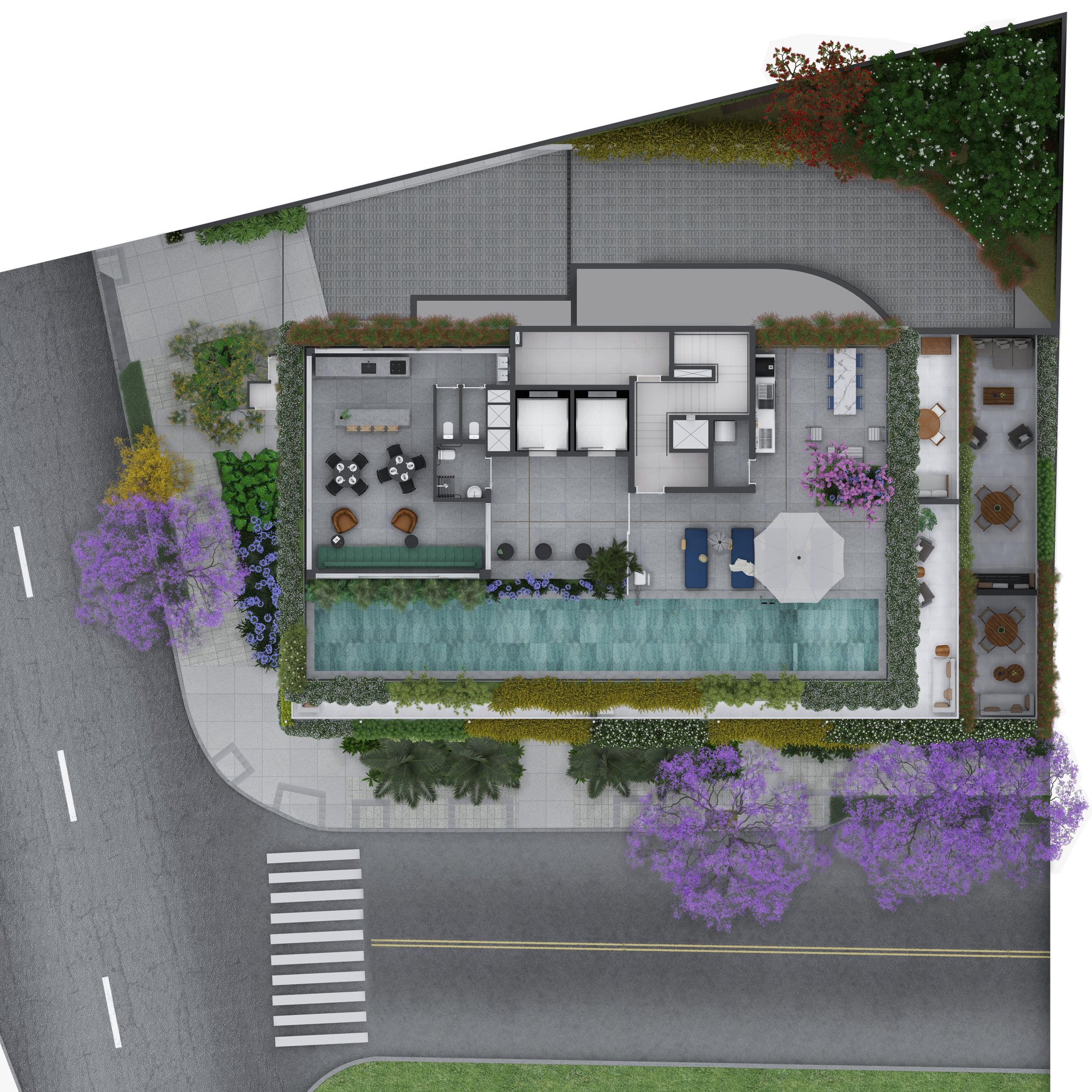 Planta
