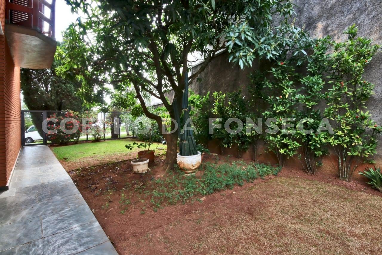 Jardim