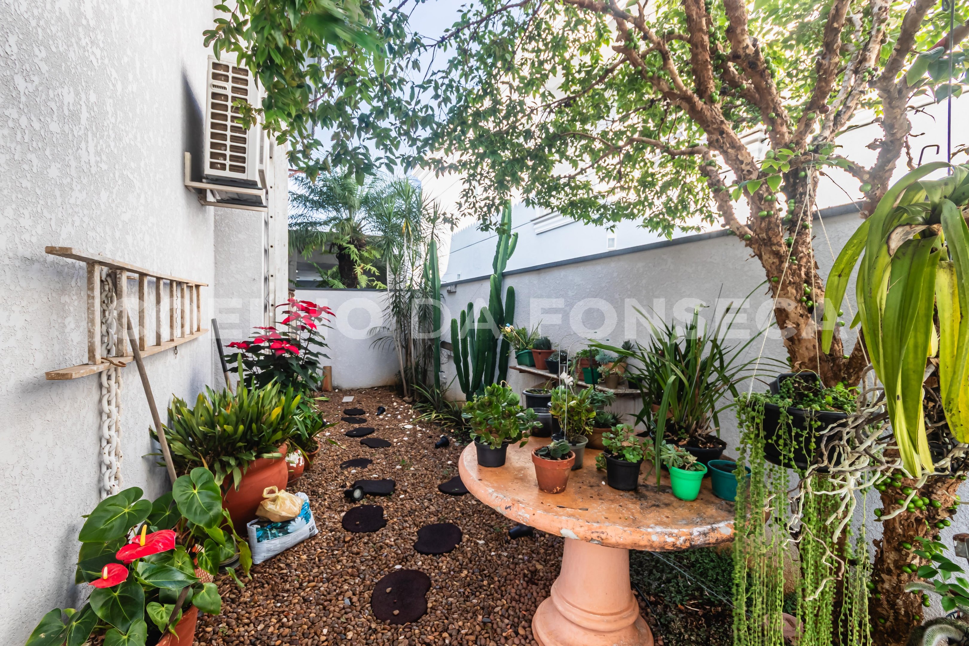Jardim