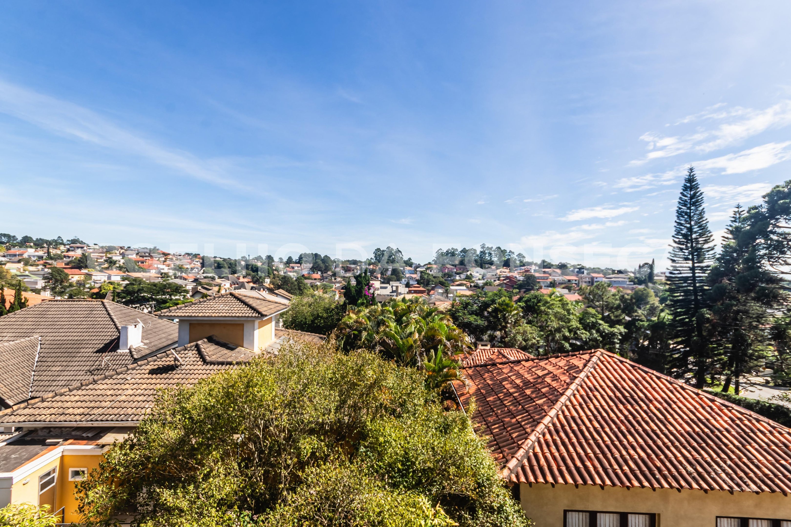 Vista