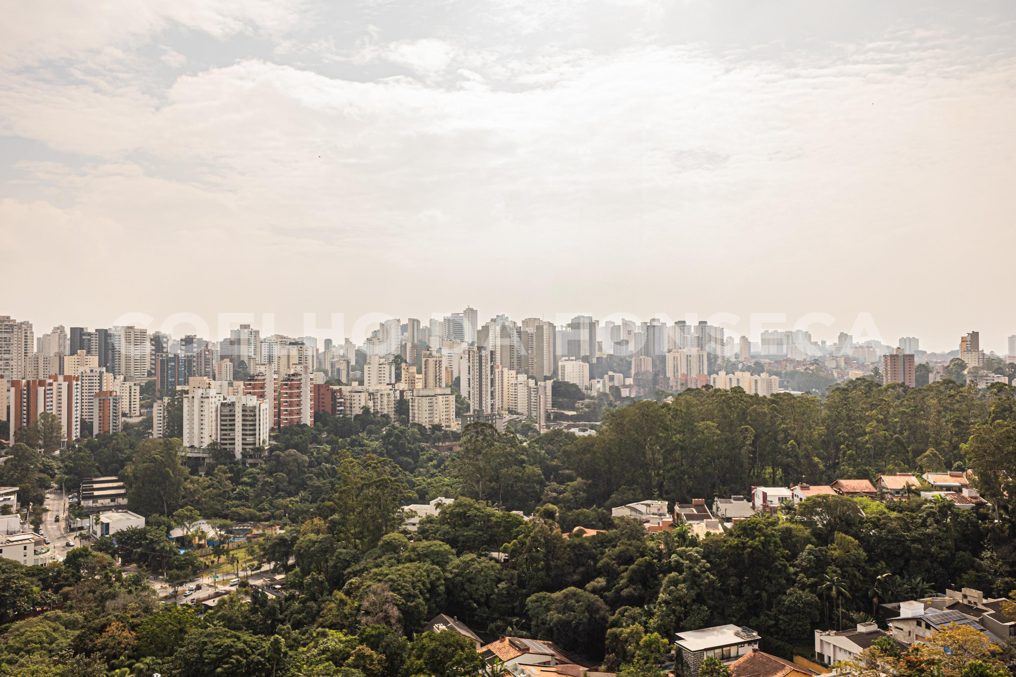 Vista